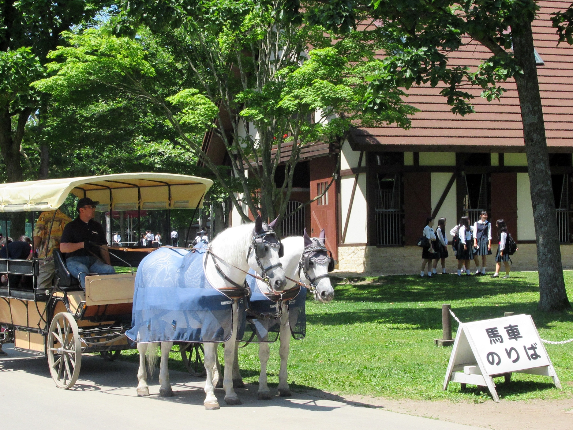 Touring in style: carriage rides around the park are one of many features for the 300,000 annual visitors to enjoy. Photo: Amanda Duckworth