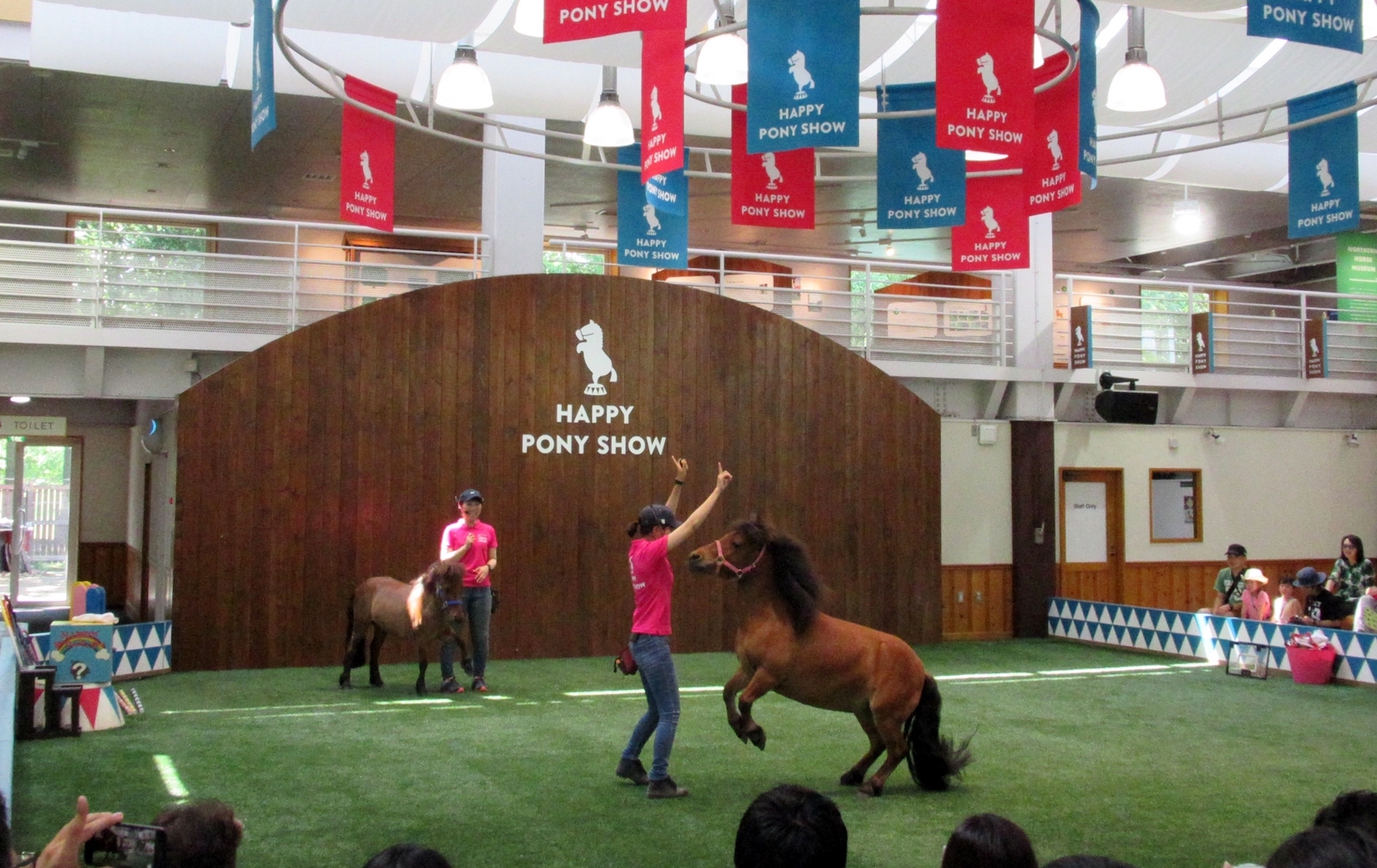 Star attraction: the most popular event on the grounds At NHP is the Happy Pony Show, in which clever ponies perform a number of tricks. Photo: Amanda Duckworth