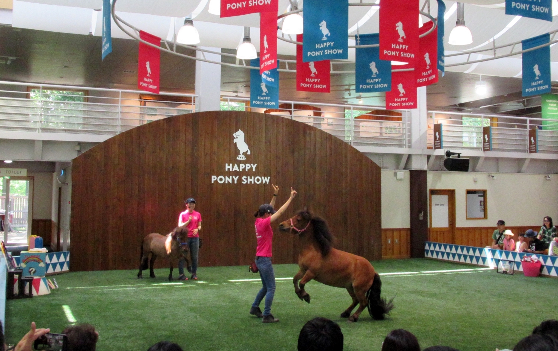 Star attraction: the most popular event on the grounds At NHP is the Happy Pony Show, in which clever ponies perform a number of tricks. Photo: Amanda Duckworth