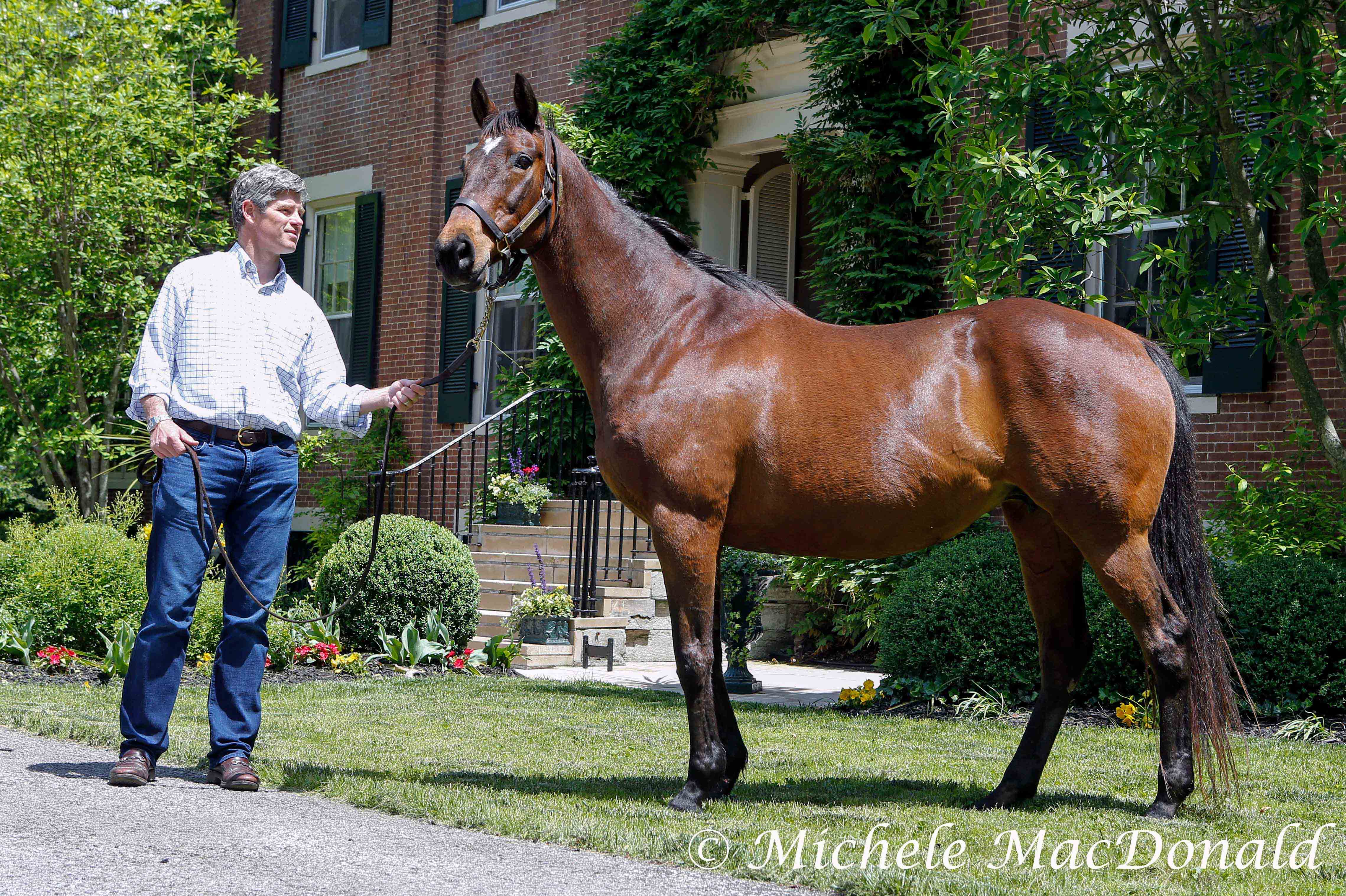 Sacre Coeur, dam of Lady Eli - and also the American Pharoah filly in the picture at the top of this page, with Runnymede Chief Executive Brutus J Clay. Photo: Michele MacDonald