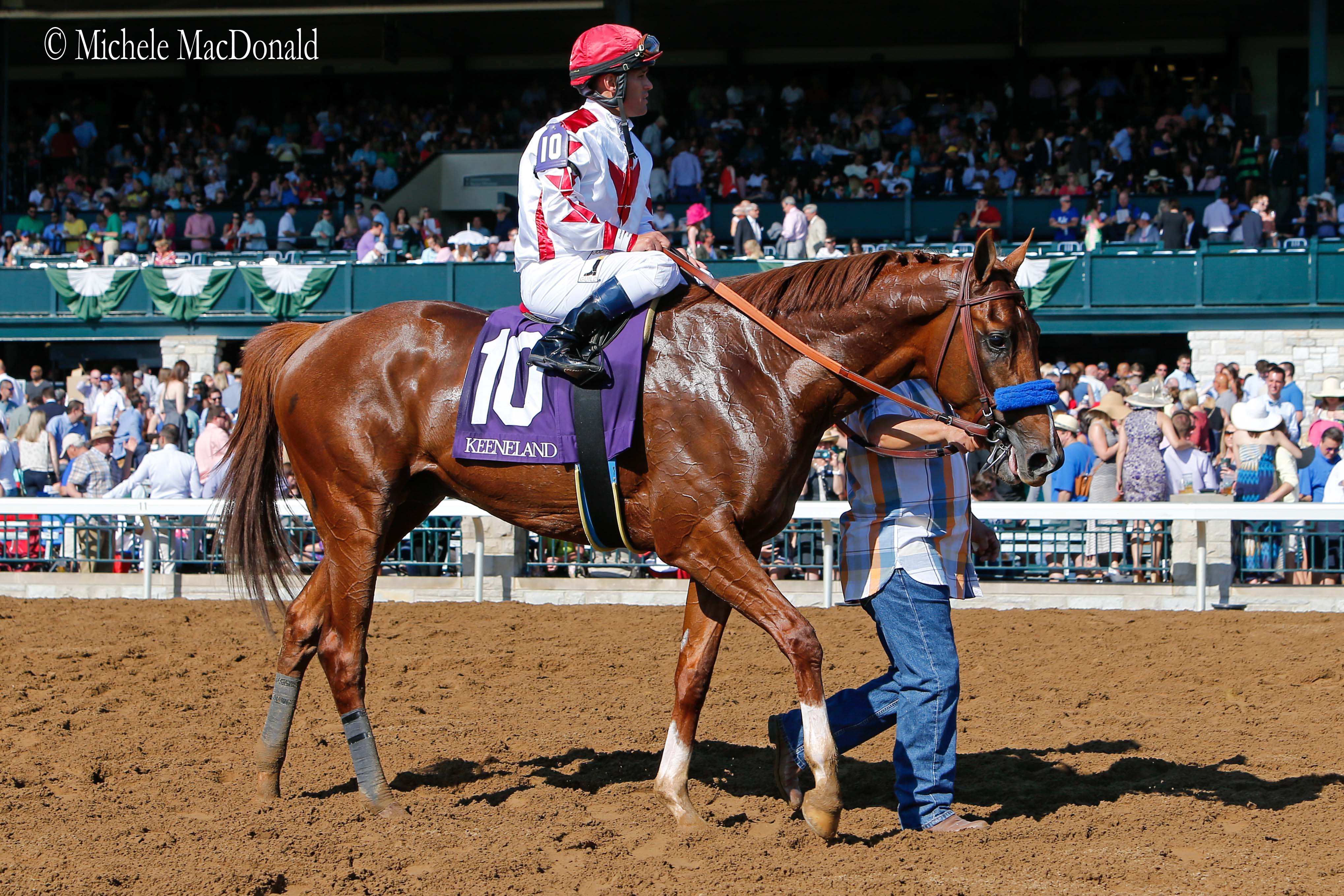 Imposing presence: Collected (Javier Castellano) after winning the G3 Lexington Stakes at Keeneland last year. Photo: Michele MacDonald