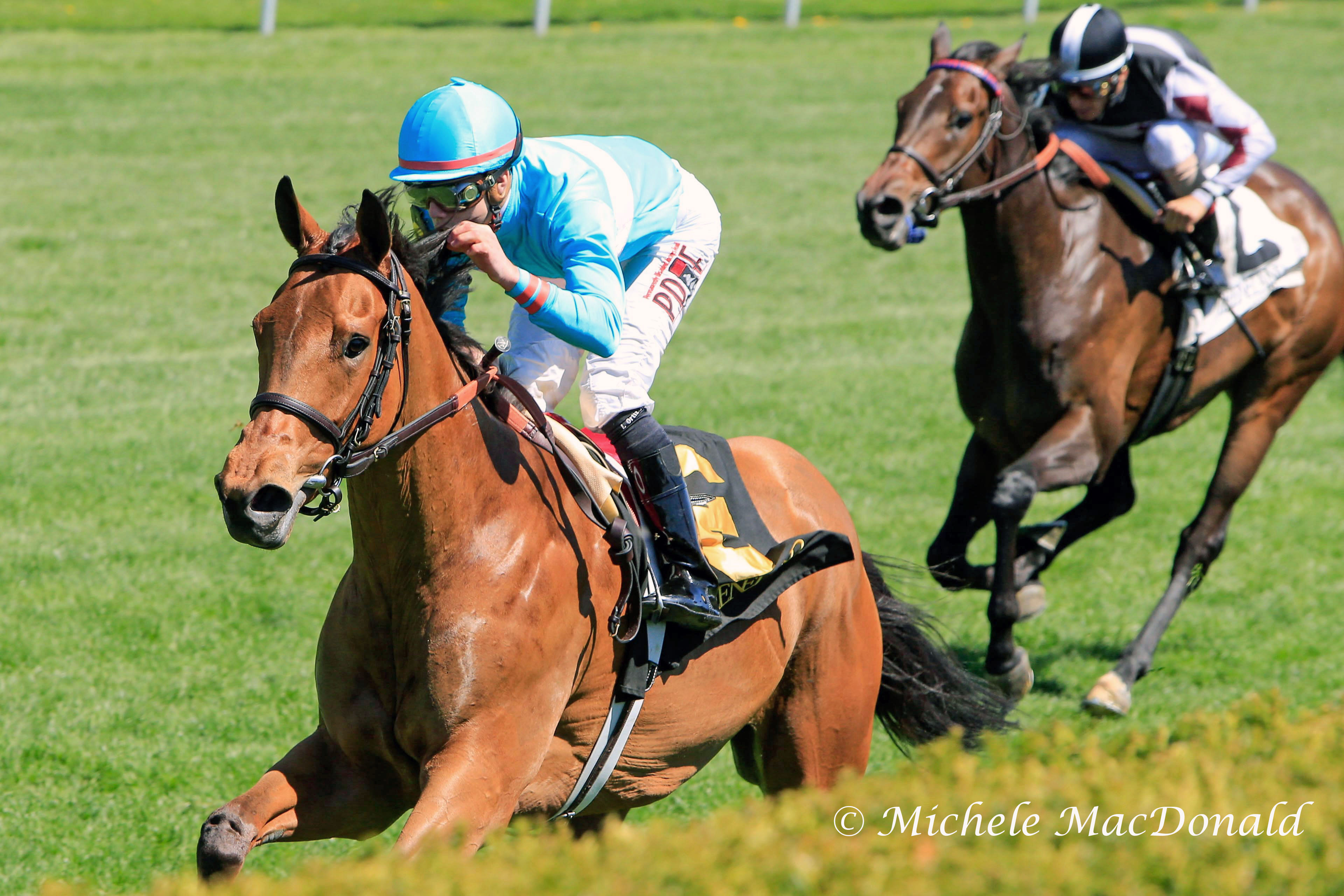 Lady Eli earning a pat on the neck from Irad Ortiz Jr as she defeats Miss Temple City in the G3 Appalachian Stakes at Keeneland. Photo: Michele MacDonald