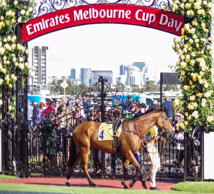 An owner’s dream: “To see [Quilate] walk under the beautiful Flemington archway, past those iconic spring roses ... well you are part of history,” said part-owner Amanda Nemaric. Photo: Kristen Manning