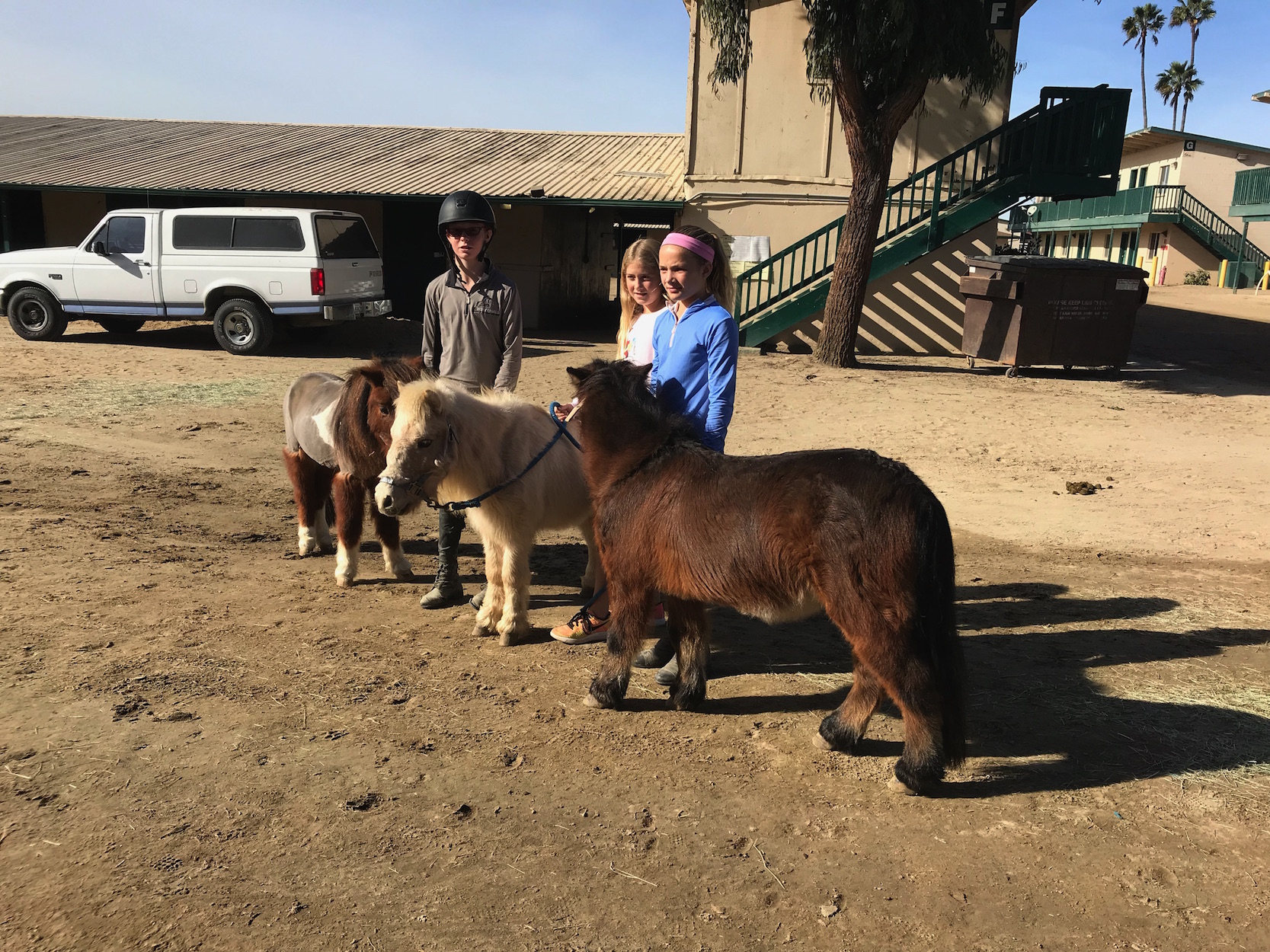 Young volunteers holding some of the smaller evacuees to Del Mar. Photo: Zoe Cadman