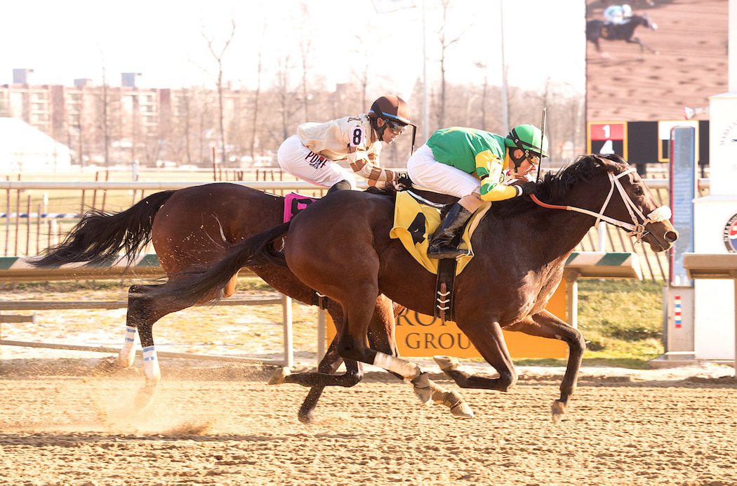 A great beginning: I Just Wanna Win gets Wes Hamilton's pro career off to a flying start. Photo: Laurel Park