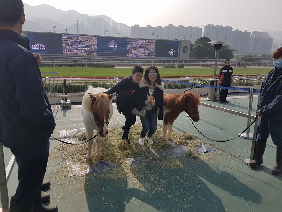 Being photographed with two Shetland ponies proved particularly popular. Photo: Kristen Manning