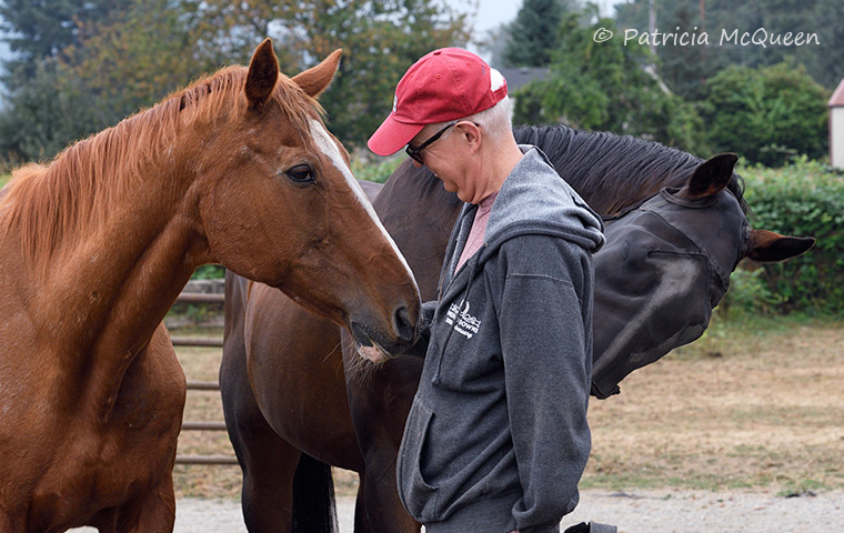 Sweet guys: Border Run (left) and Anniversary Year looking for cookies in Curtis Wright’s pockets. Photo: Patricia McQueen