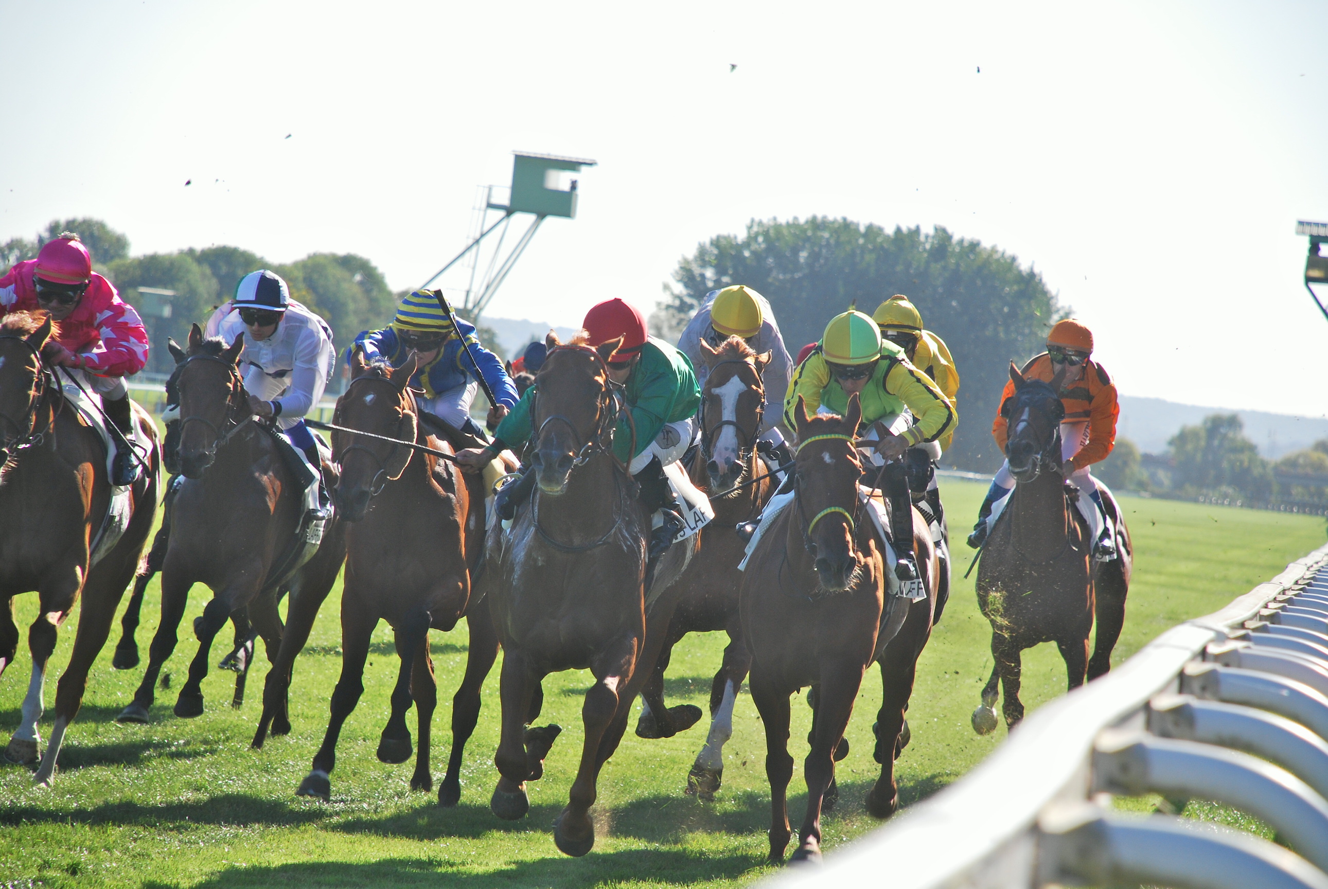 Betting coup: the Maisons-Laffitte race won by the Gina Rarick-trained Skid Solo (green colours, red cap), backed by Mark Cramer and Alan Kennedy at 20/1. Photo: John Gilmore