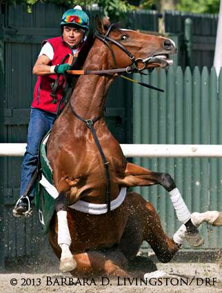 Toy Cannon, an unruly youngster who required patient handling, is pictured before a race at Belmont Park with jockey José Bello in 2013. Photo used with permission of Barbara Livingston