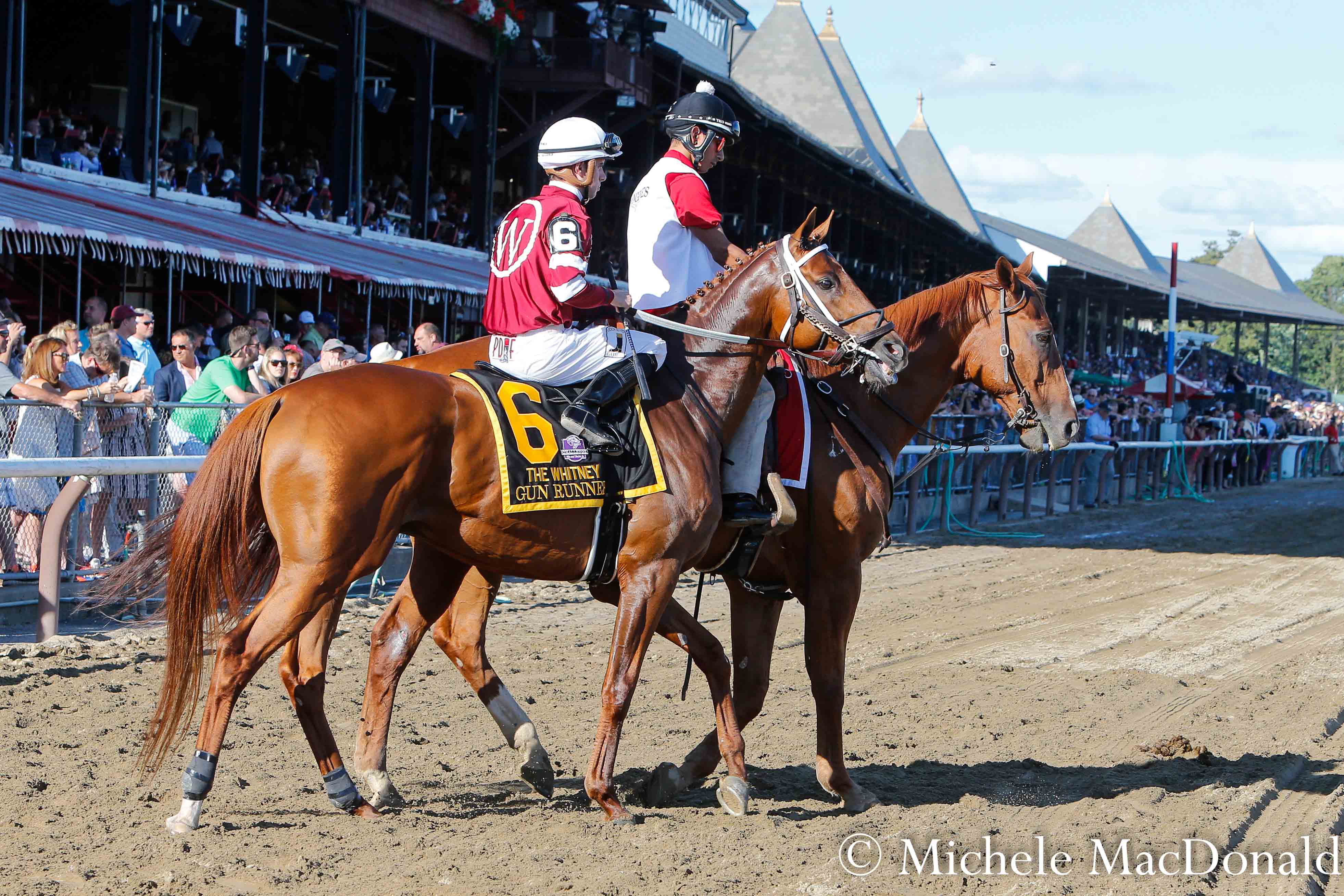 Constant improvement: Gun Runner before his victory romp in the Whitney at Saratoga. “He’s just gotten better and better and better with time,” says Winchell racing manager David Fiske. Photo: Michele MacDonald