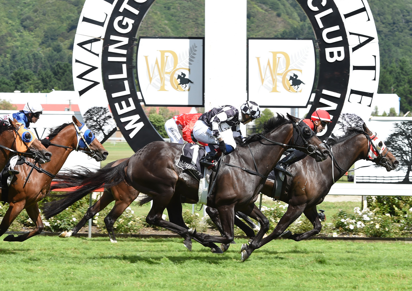 Sam Weatherley and 73/1 shot Enzo’s Lad just hold on from fast-finishing favourite Kawi at Trentham on Saturday. Photo: Race Images