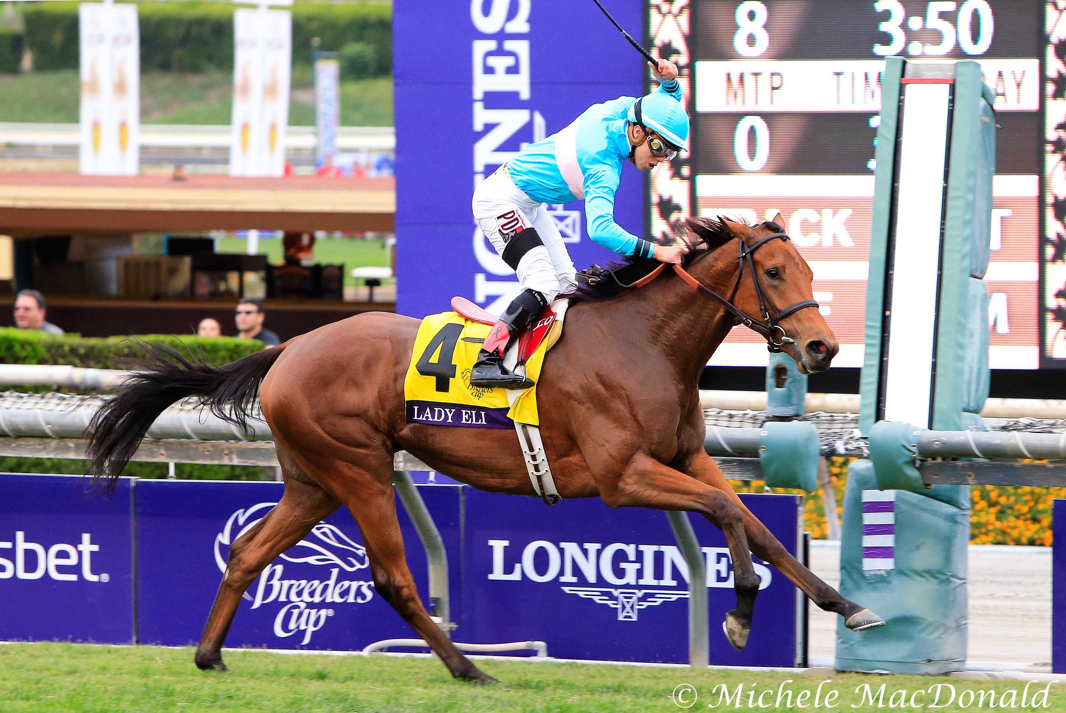 Many thought Lady Eli should have won an Eclipse Award in 2014 - after this win in the Breeders’ Cup Juvenile Fillies Turf. Photo: Michele MacDonald