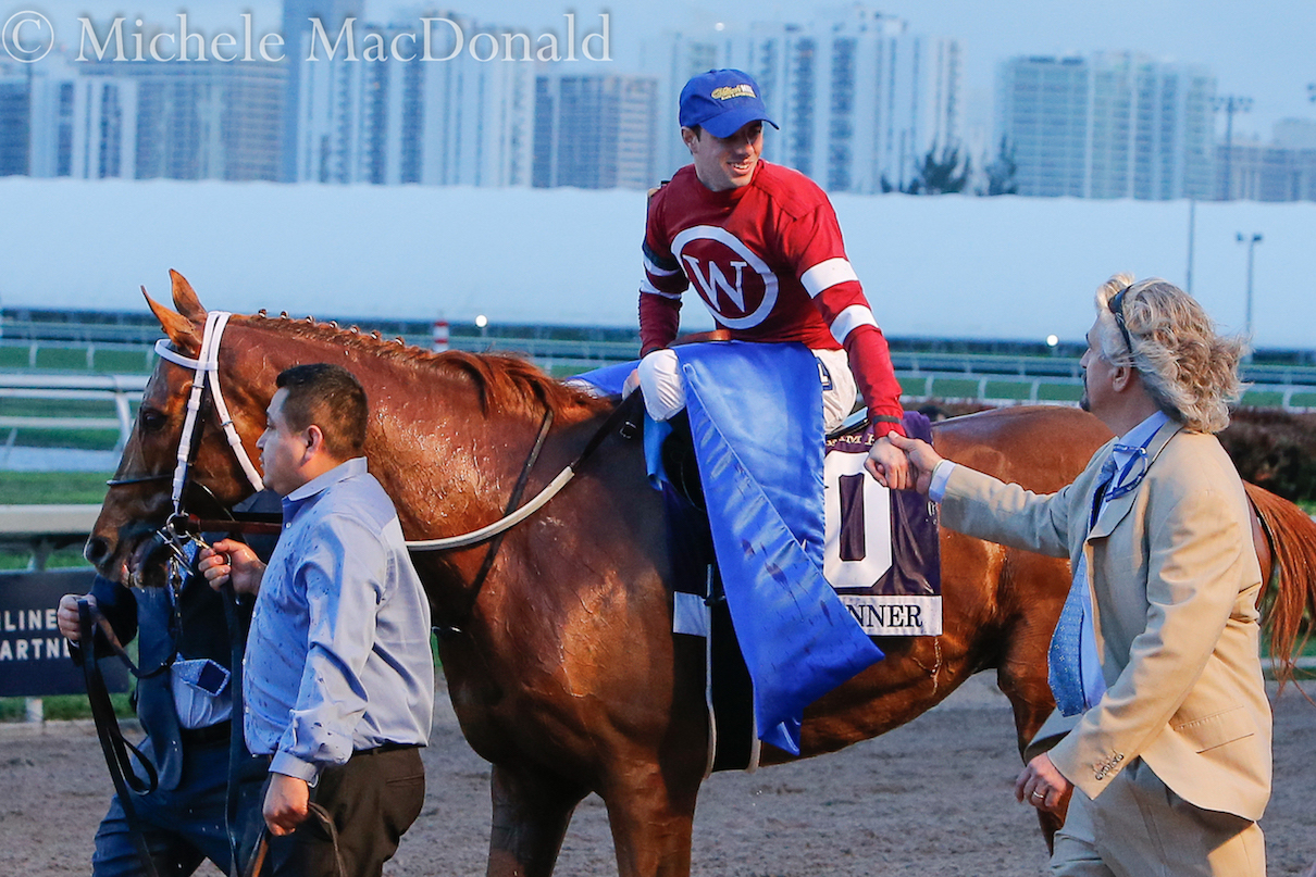 Mutual respect: Steve Asmussen, Florent Geroux and Gun Runner immediately after the race. Photo: Michele MacDonald