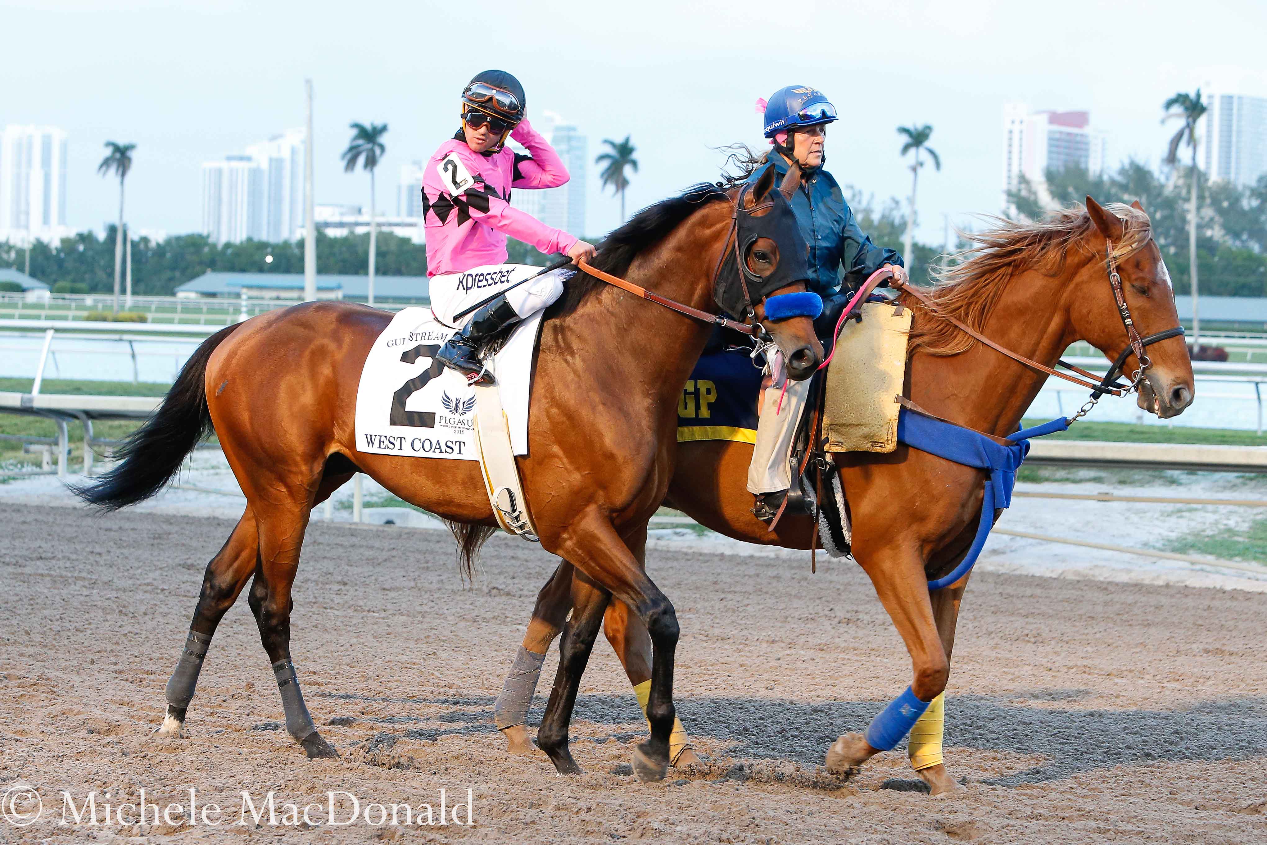 Runner-up West Coast and Javier Castellano before the race: “I’m glad [Gun Runner] has retired,” says the jockey. “Now my horse can step up a little bit.” Photo: Michele MacDonald