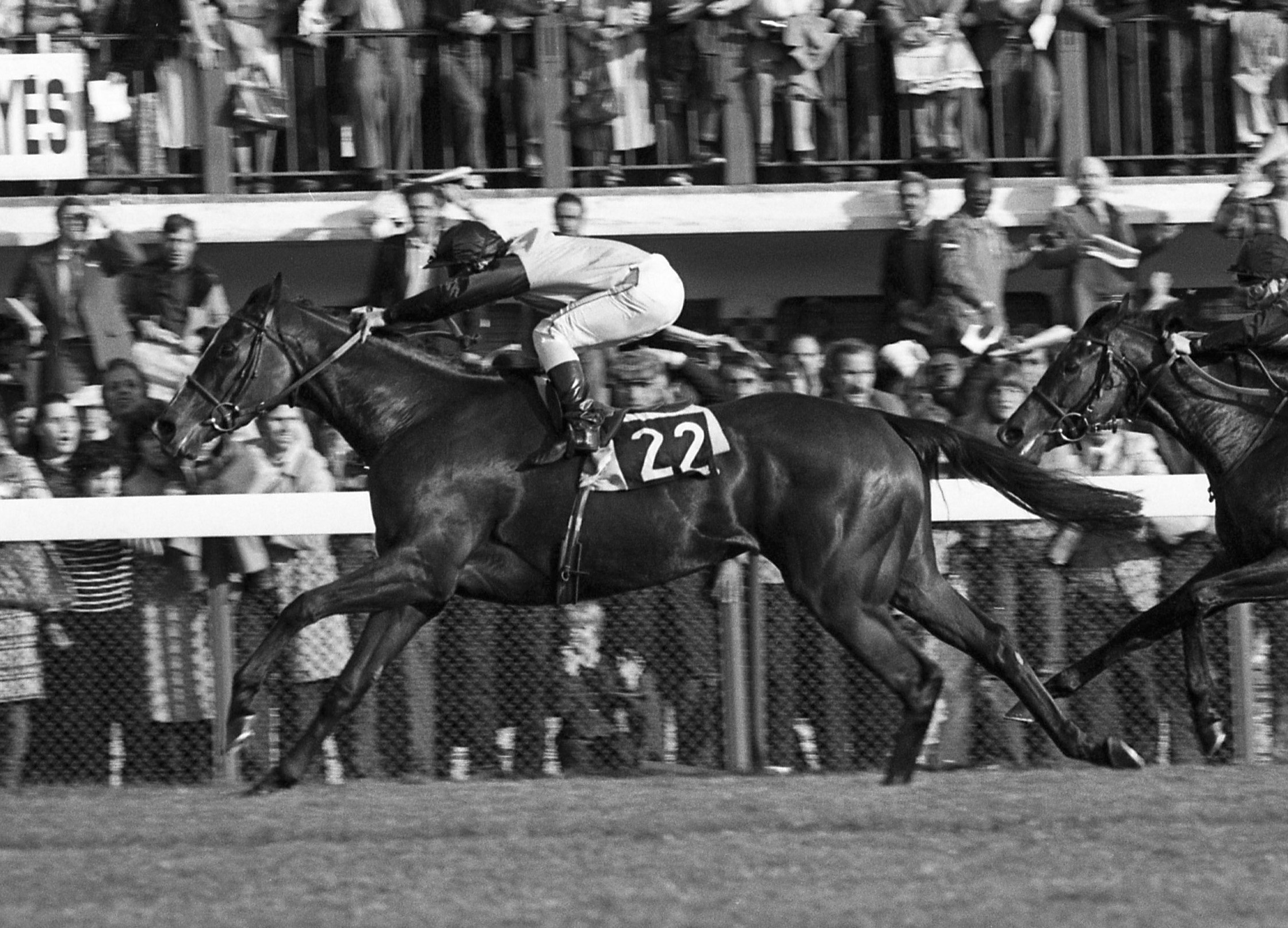 Golden moment: Three Troikas, trained by Criquette, ridden by Freddy and owned by their mother, Ghislaine, wins the Arc in 1979. Photo: Mark Cranham