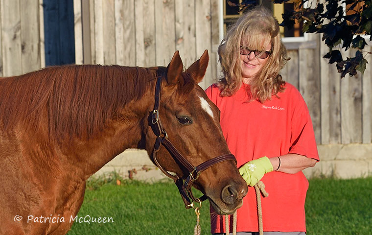 ‘Markie’ and Bev Dee, who runs the equine rescue and sanctuary in Pennsylvania where he has lived since 2004. Photo: Patricia McQueen