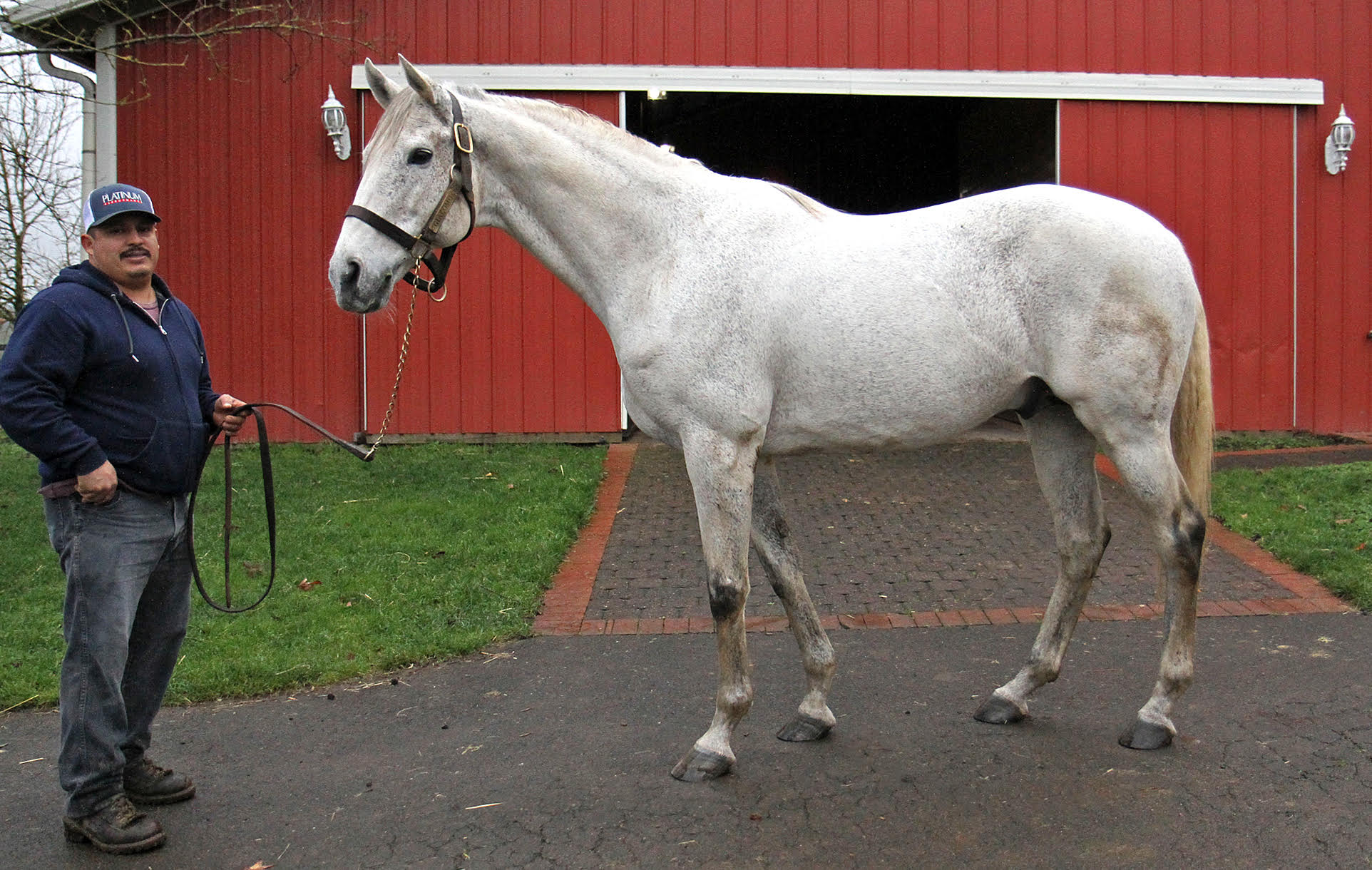 Giacomo: his first Oregon-bred runners are due to hit the track next year. Photo: Emily Shields
