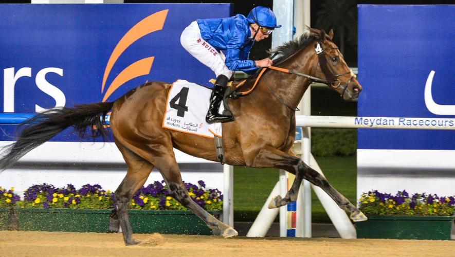 Gold Town: “He won the Guineas in Dubai in very, very impressive fashion,” says Jimmy Bell. Photo: Godolphin