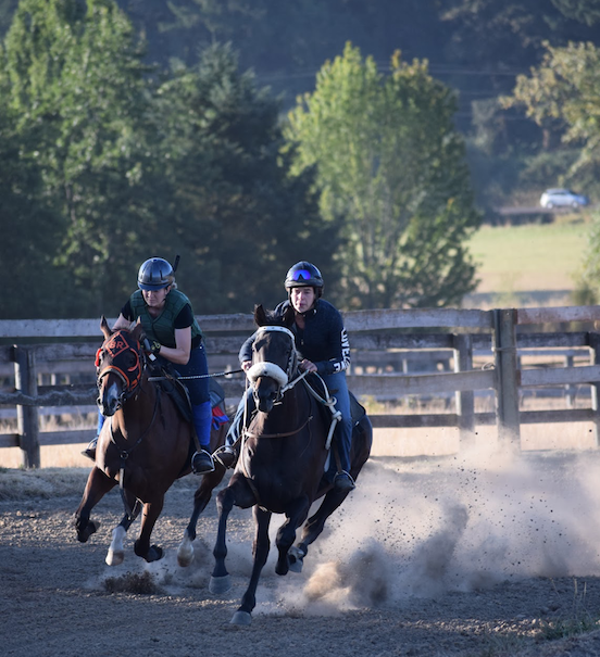 The many features of the redevelopment of Oakhurst Farm included a 4½-furlong training track. Photo: Alicia Hudson