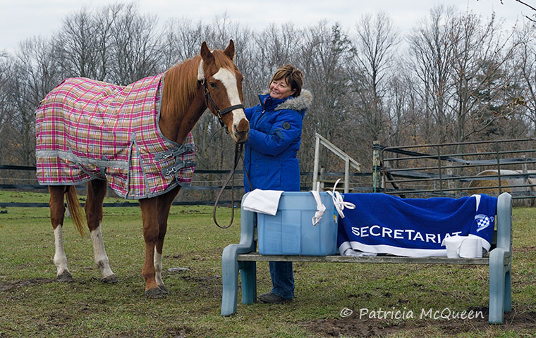 Maggie LeBlanc with Time Alert at the farm in Ontario, alongside the white bridle, saddle cloth and wraps that he has worn on public appearances at Woodbine. Photo: Patricia McQueen