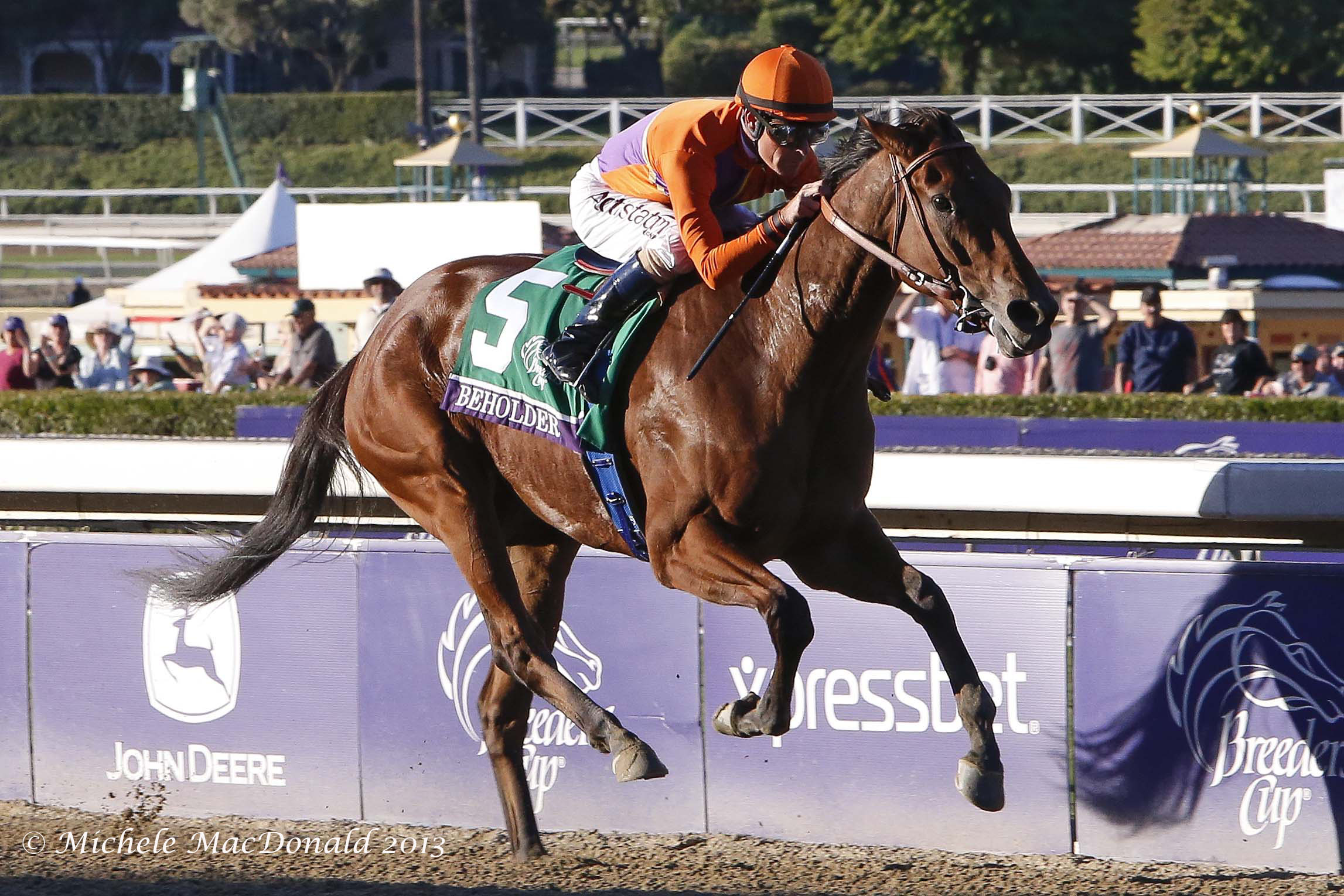 Beholder winning the Breeders’ Cup Distaff  at Santa Anita in 2013. Photo: Michele MacDonald