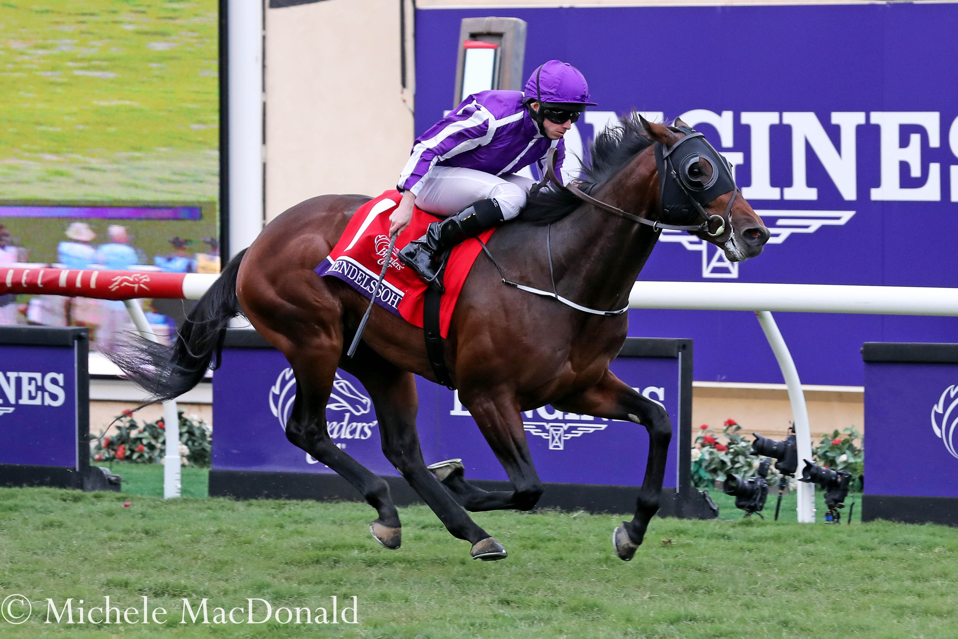 Mendelssohn wins the Breeders’ Cup Juvenile Turf at Del Mar last November. Photo: Michele MacDonald