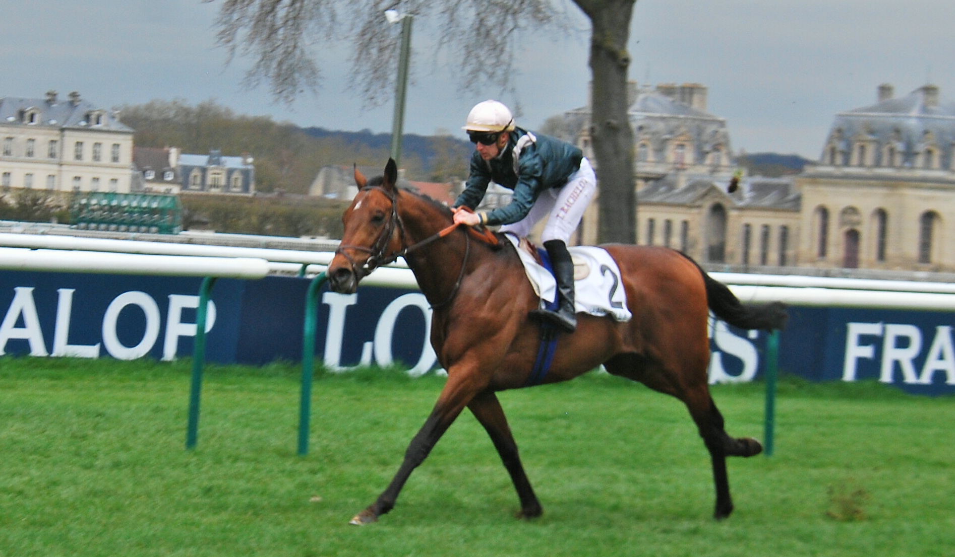 Naturally High: owner Jean-Louis Bouchard is hopeful the son of Camelot can give him a fifth win in the Prix du Jockey Club. Photo: John Gilmore