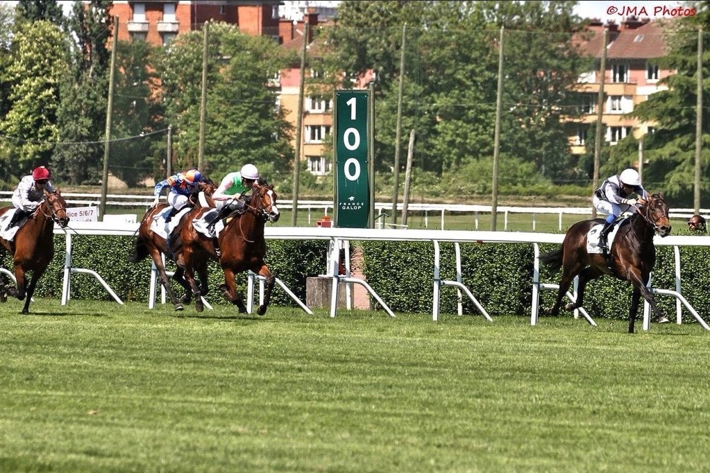 Study Of Man showed impressive acceleration when winning the Prix Greffulhe at Saint-Cloud. Photo: Jean Michel Anello