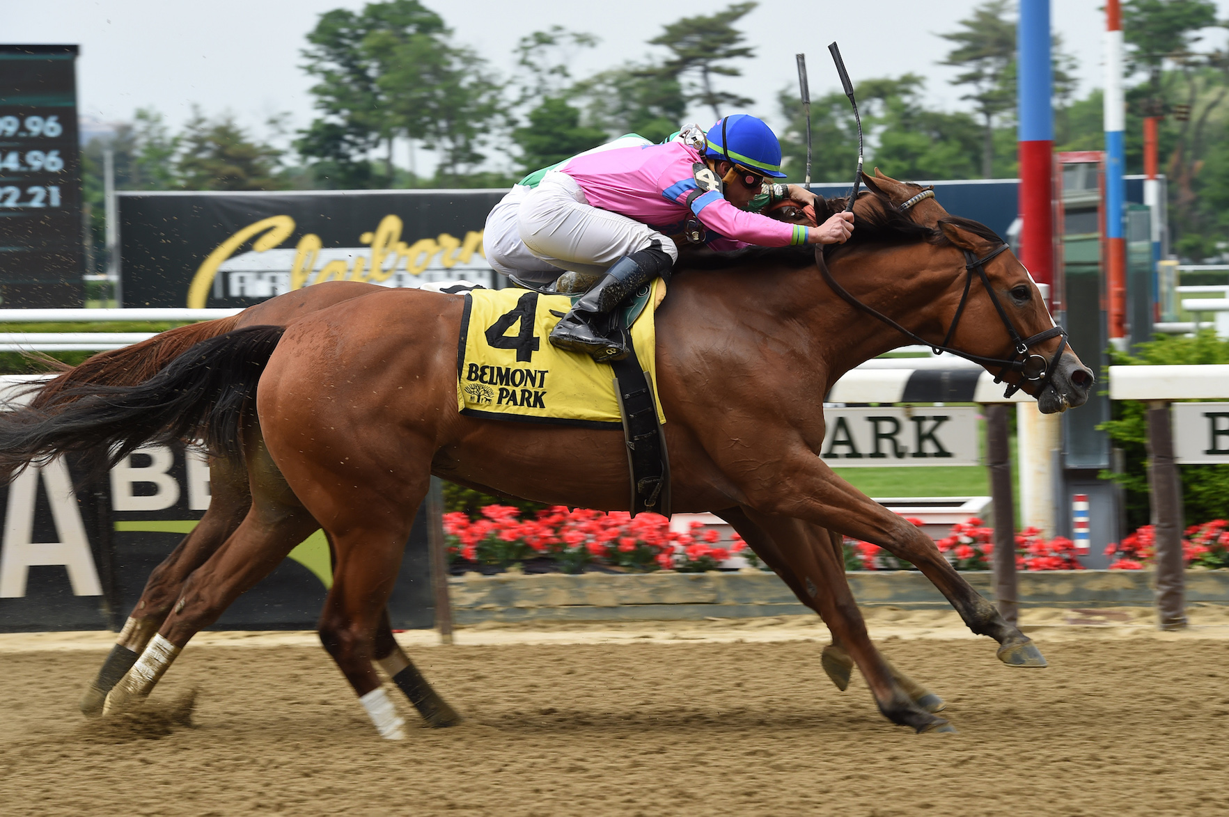 Holiday Disguise and Irad Ortiz winning the Critical Eye at the Belmont Park showcase day on Monday. Photo: Susie Raisher/NYRA.com