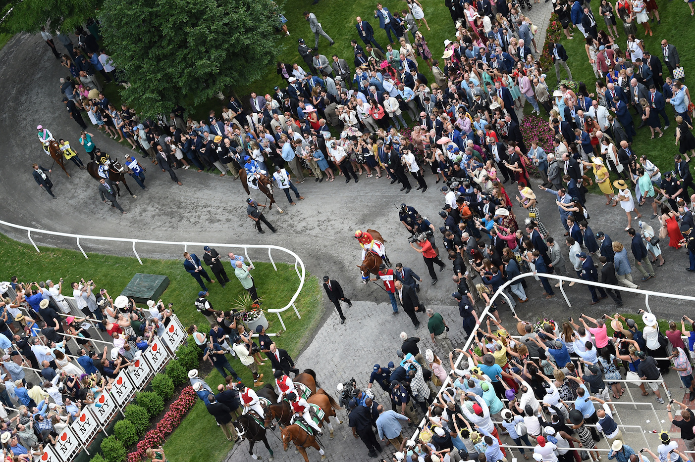 A crowd in raptures: they’re all celebrating as Justify (centre) and the other runners are led back after the race. Photo: Amira Chichakly/NYRA.com