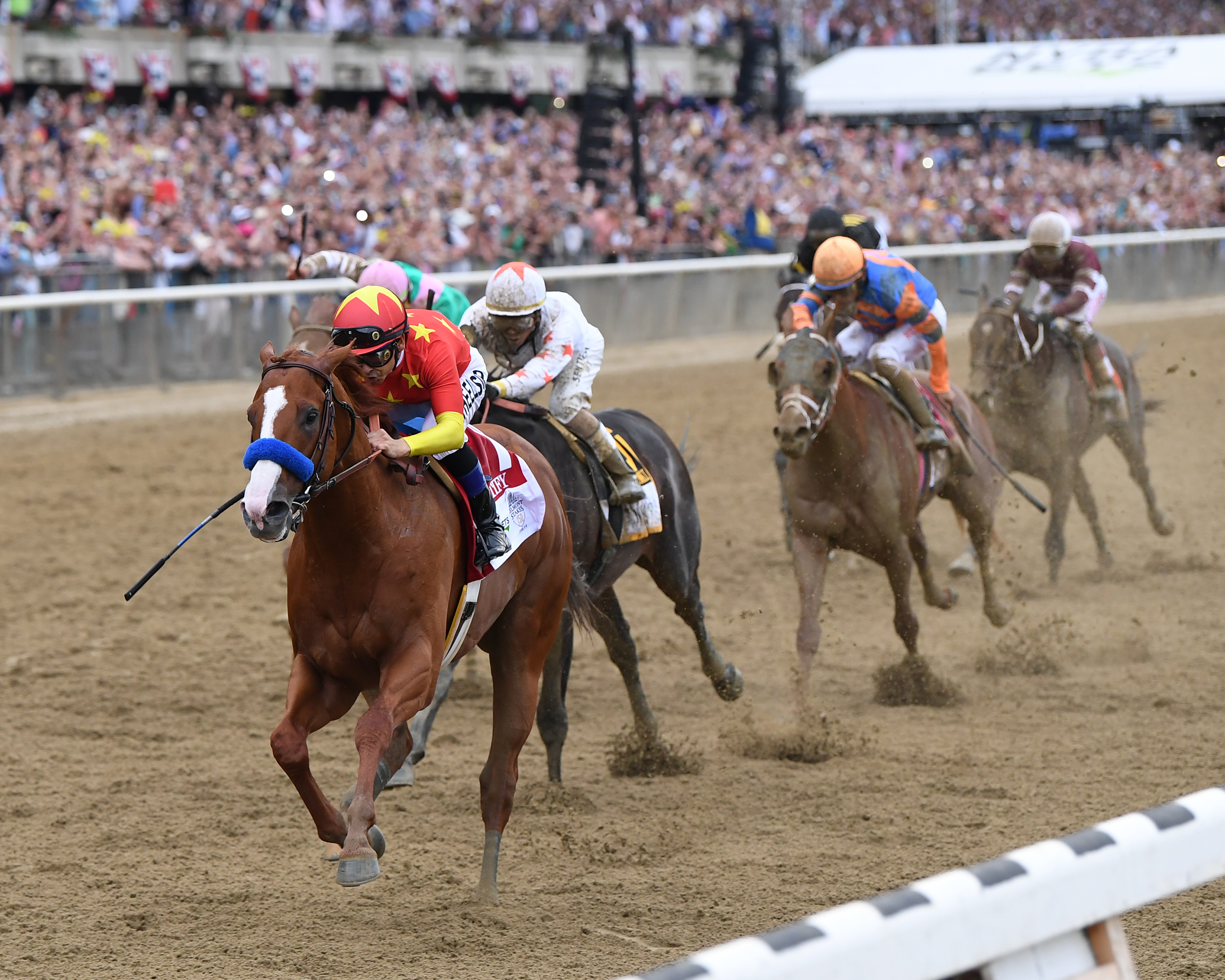 Still going strong: Justify and Mike Smith maintain momentum all the way to the line with Gronkowski, Hofburg (pink cap, mainly hidden) and Vino Rosso battling in vain. Photo: Chelsea Durand/NYRA.com