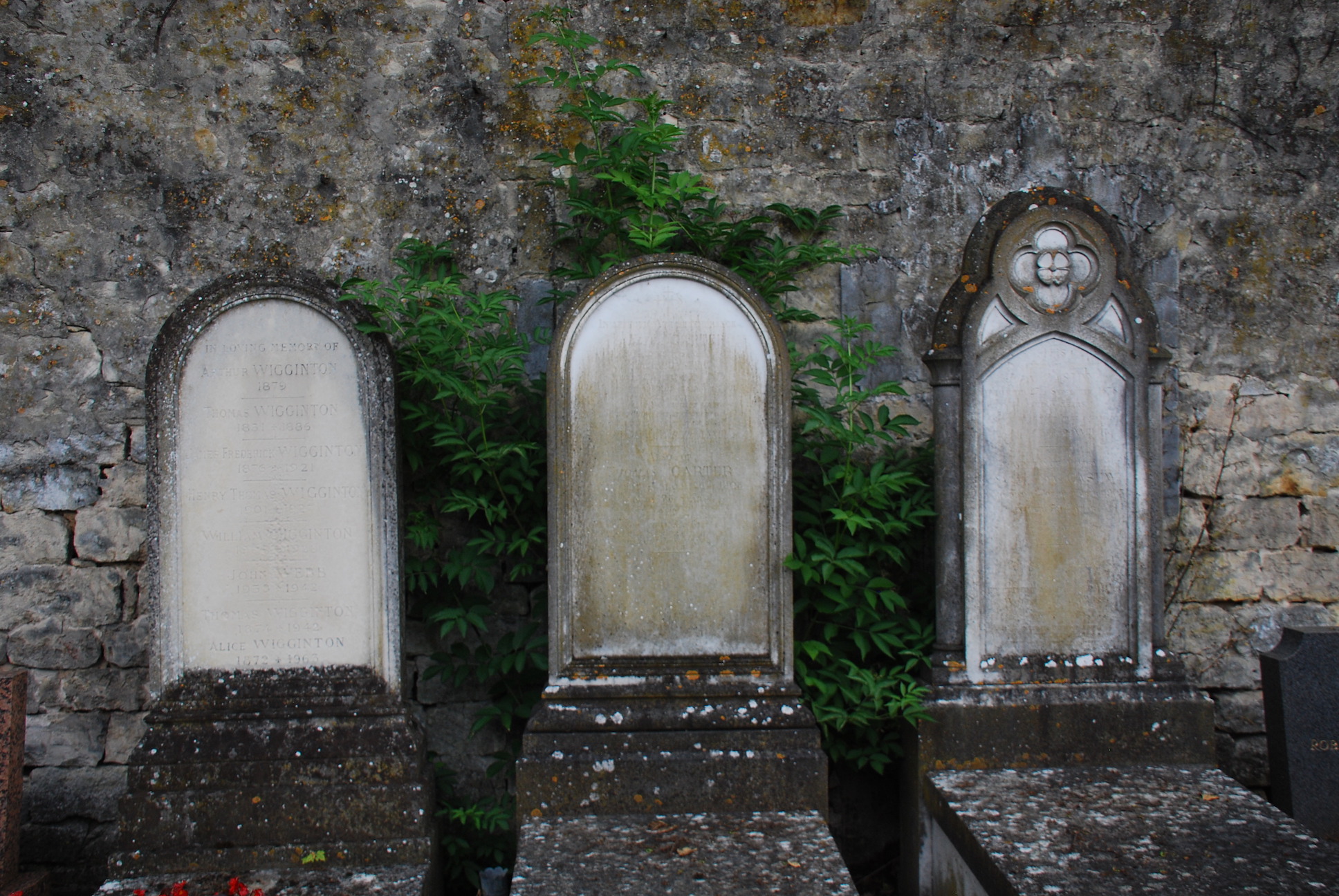 Neglected: three graves in the British racing section of the Bois Bourillon graveyard. Thomas Richard Carter's is the one in the centre. Photo: John Gilmore