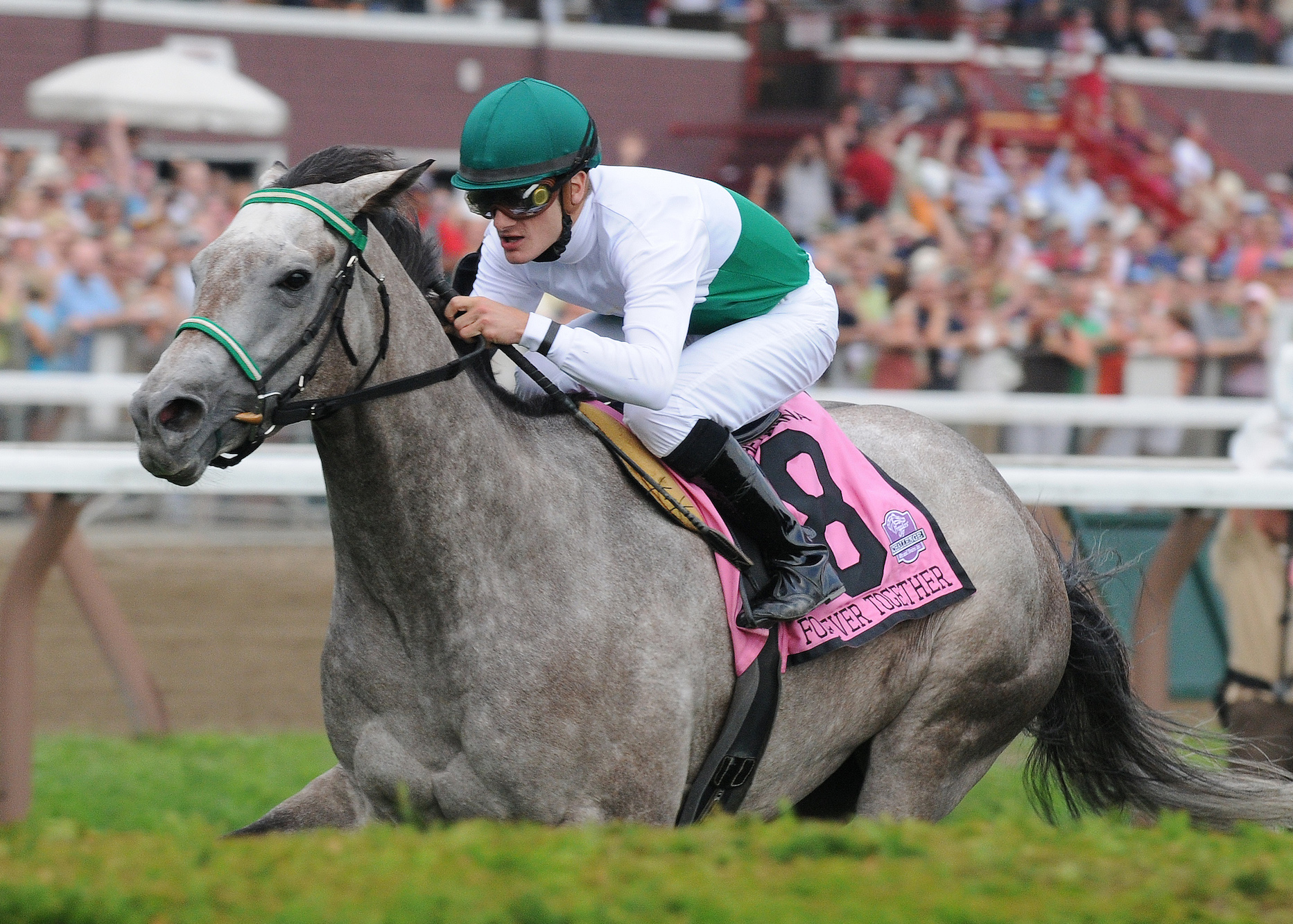 Saratoga star: the Sheppard-trained Forever Together winning the G1 Diana Stakes at Saratoga in 2009. She also won the race in 2008, when she went on to win at the Breeders’ Cup. Photo: NYRA.com