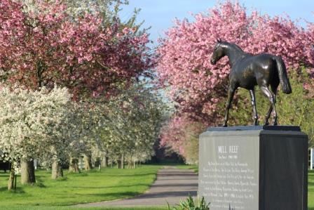 National Stud icon: a statue of the great Mill Reef in the grounds. Photo: National Stud