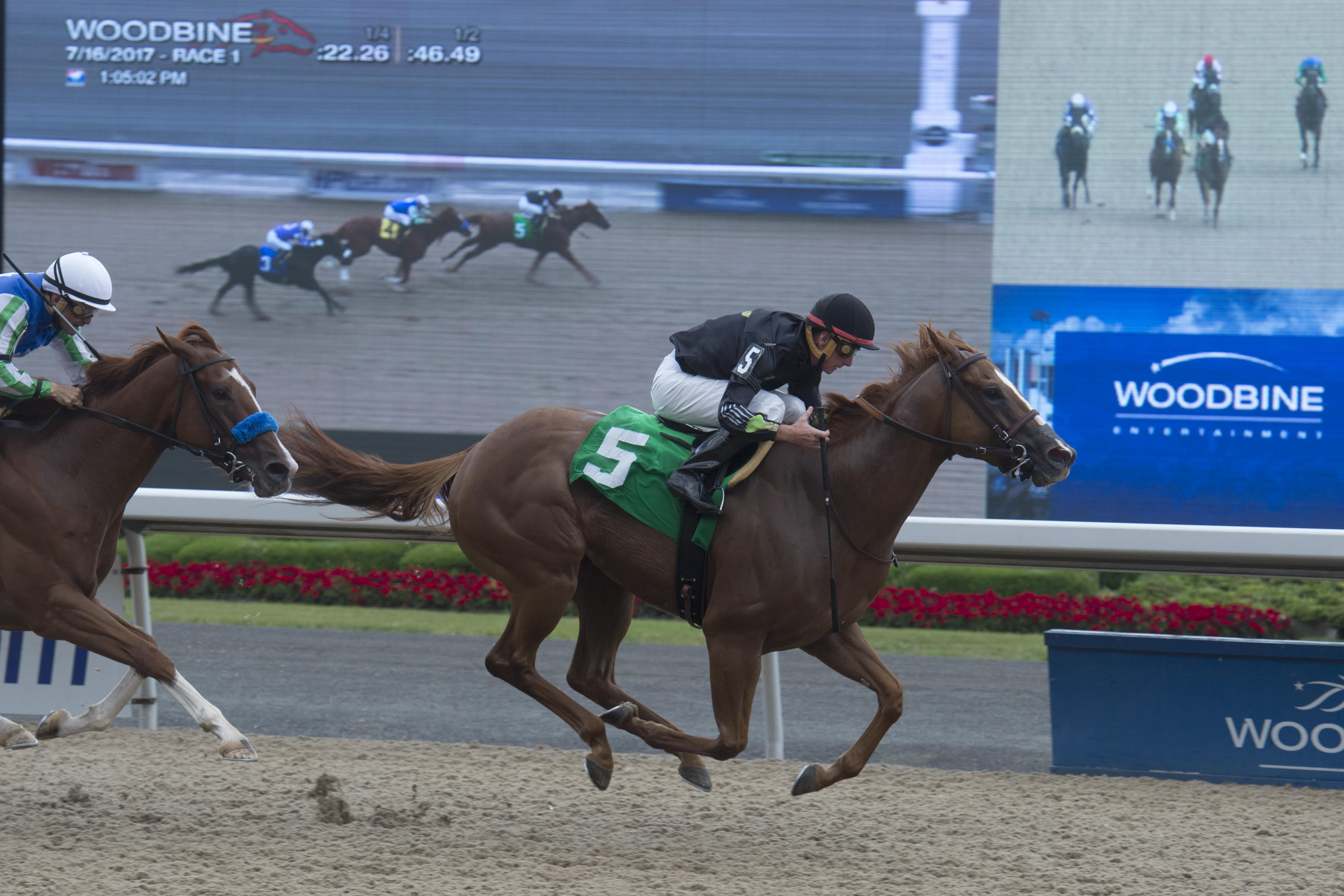 That first victory: Bourbon Babe winning in Sarah Ritchie’s colours at Woodbine in July, 2017. Burns Photo