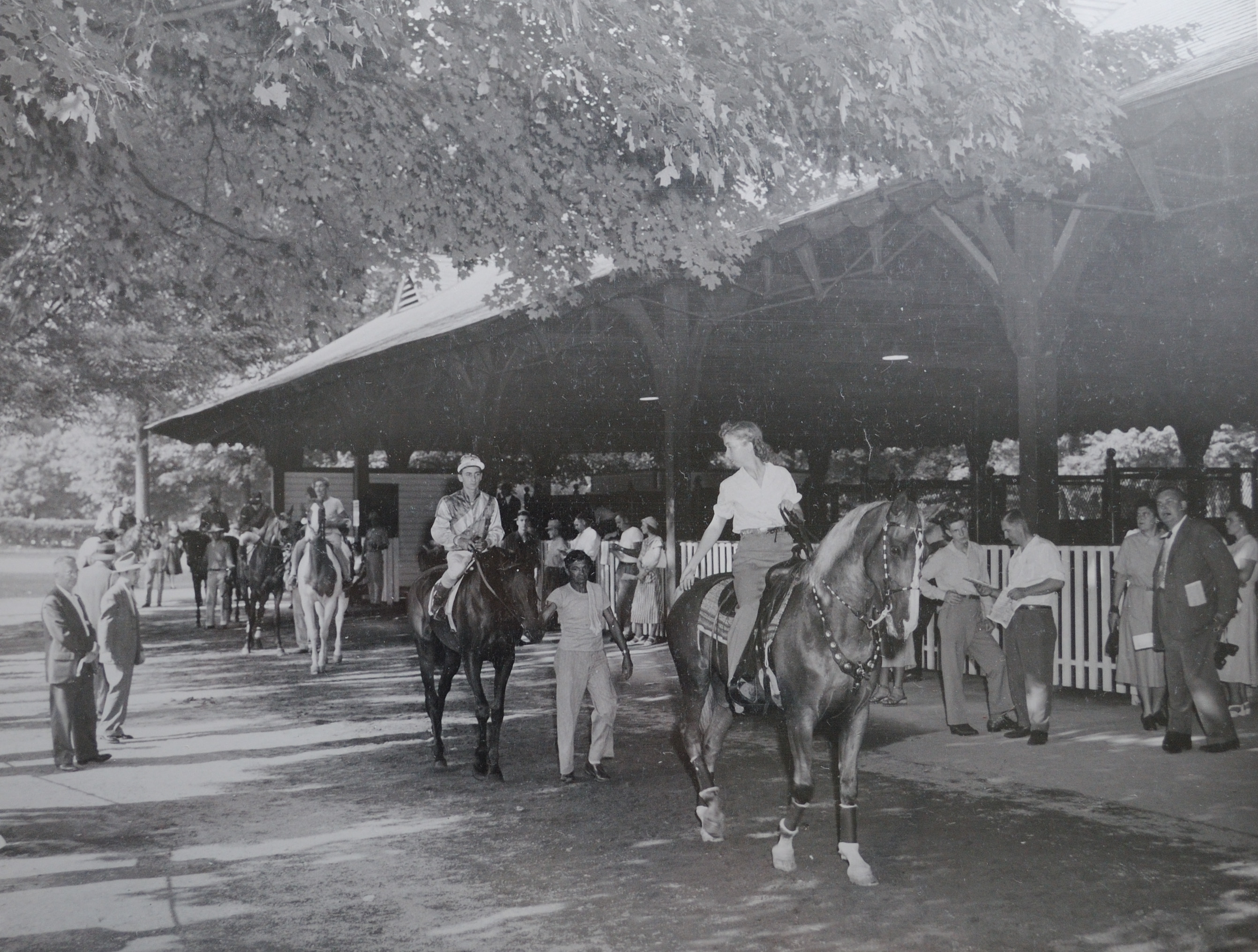 The informal comingling of horses, grooms, jockeys and fans in the paddock at Saratoga Race Course