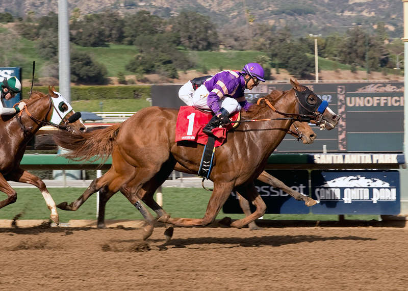 Lord Nelson (Rafael Bejarano, nearside) has a neck to spare over Texas Red in the G2 San Vicente Stakes at Santa Anita in February 2015. Benoit photo
