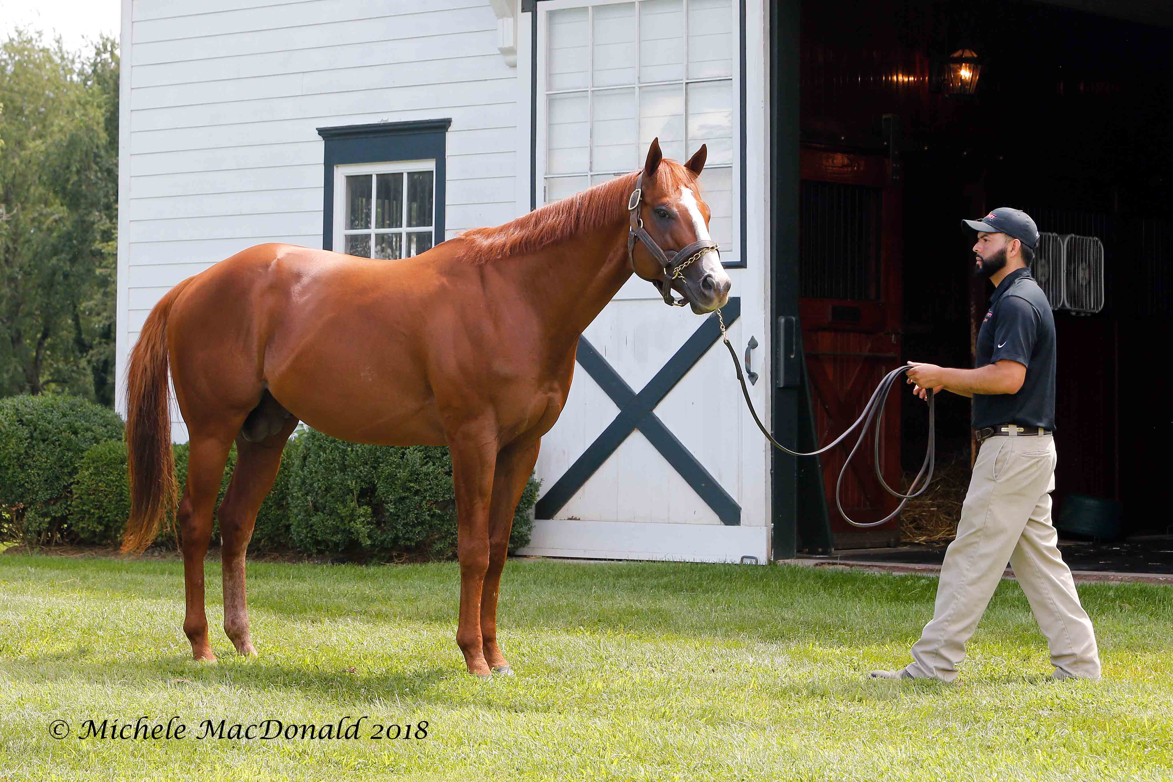 Exciting prospect: “He’s got the looks, he’s got the pedigree, and he more than demonstrated the ability,” says Spendthrift general manager Ned Toffey. “What else could you ask for?” Photo: Michele MacDonald