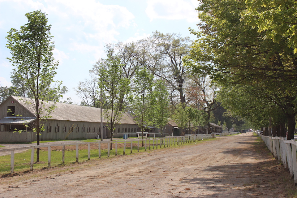 Some of the new trees in Horse Haven. Photo: Samantha Bosshart