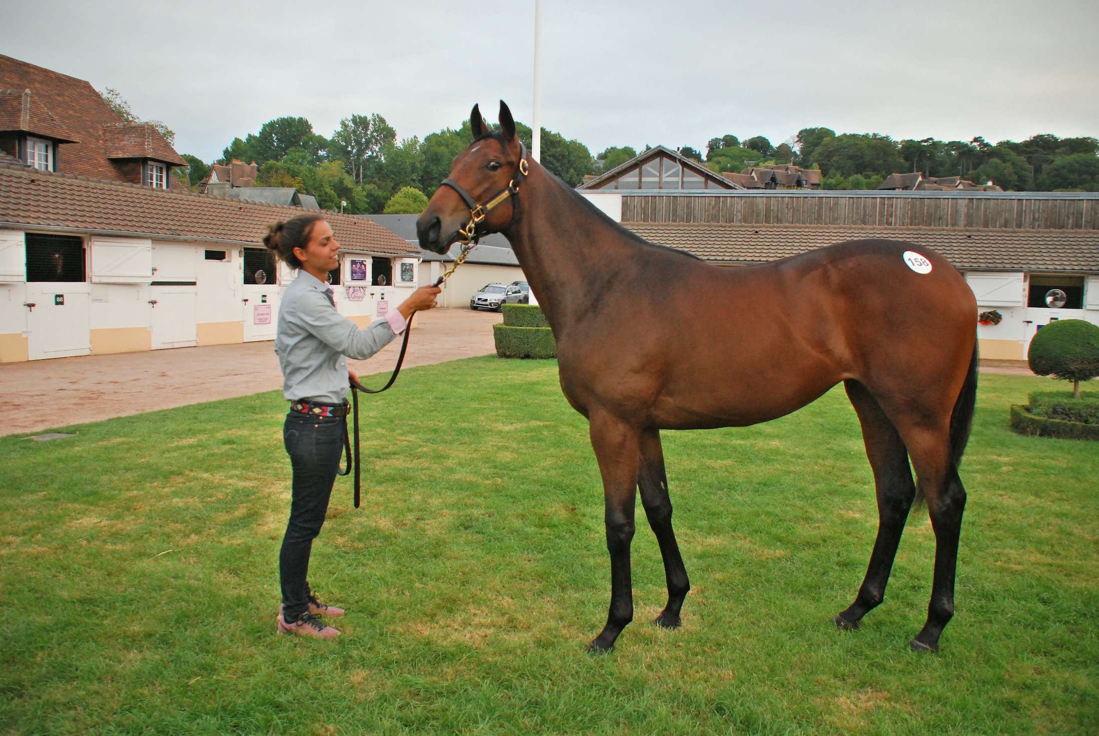 This American Pharoah filly out of Marbre Rose went to American agent David Greathouse for €850,000. Photo: John Gilmore