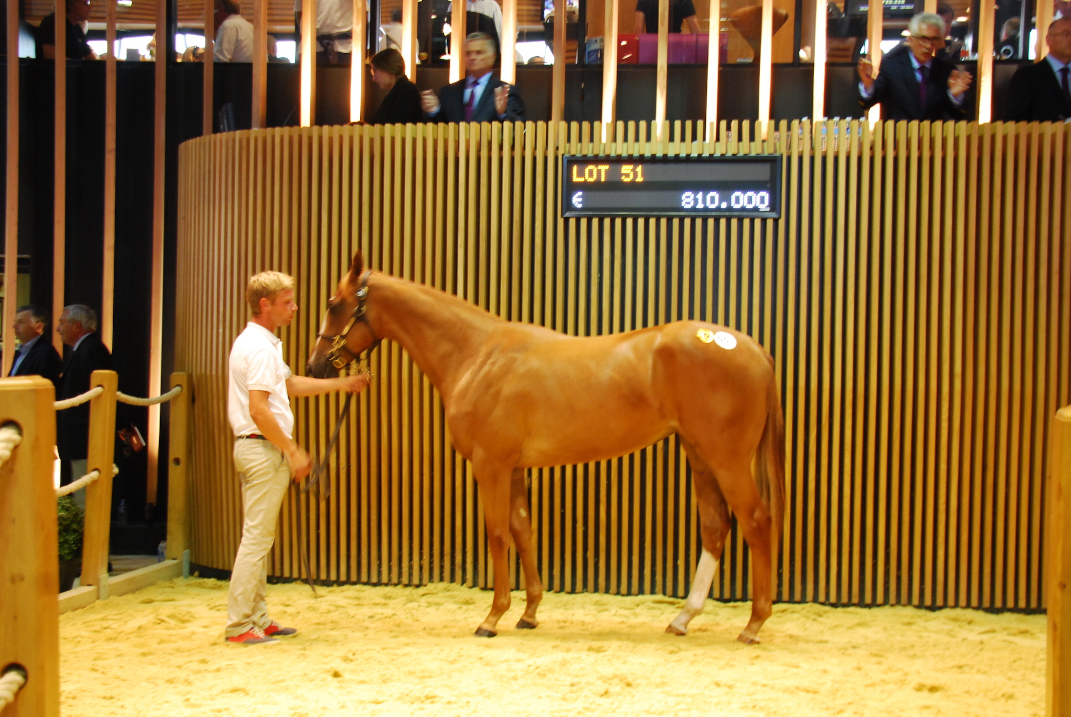 Justin Casse paid €810,000 for this Galileo filly out of Tender Morn, the highest priced yearling on the first day of the  Arqana sale. Photo: John Gilmore