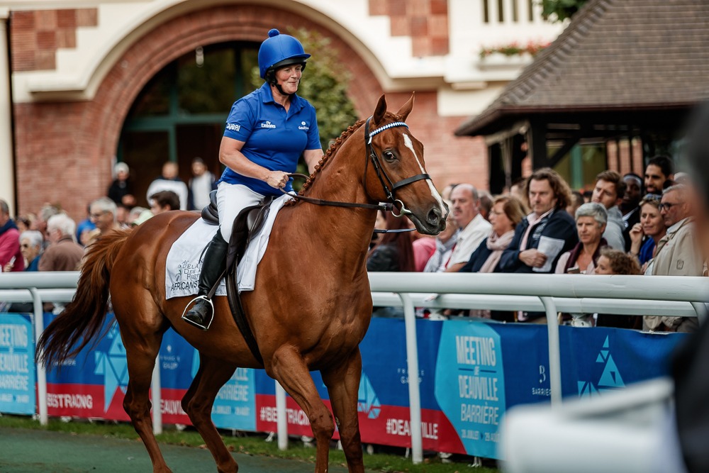 Lively as ever: 2014 Dubai World Cup winner African Story parades at Deauville. Photo: Zuzanna Lupa