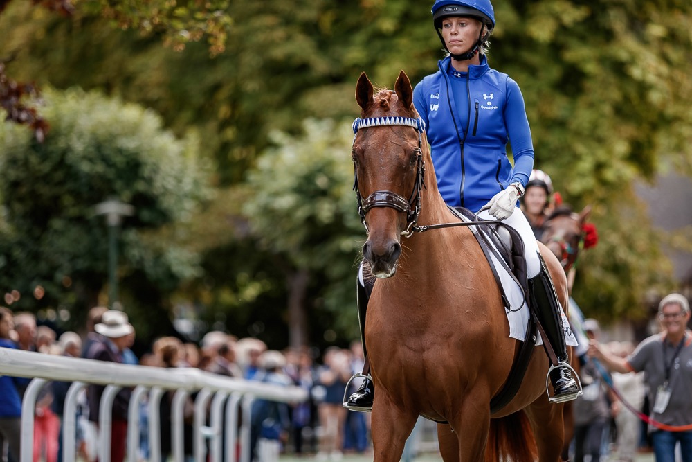 Princely demeanour: Godolphin’s Prince Bishop, who won the Dubai World Cup in 2015, upsetting the favourite, California Chrome. Photo: Zuzanna Lupa