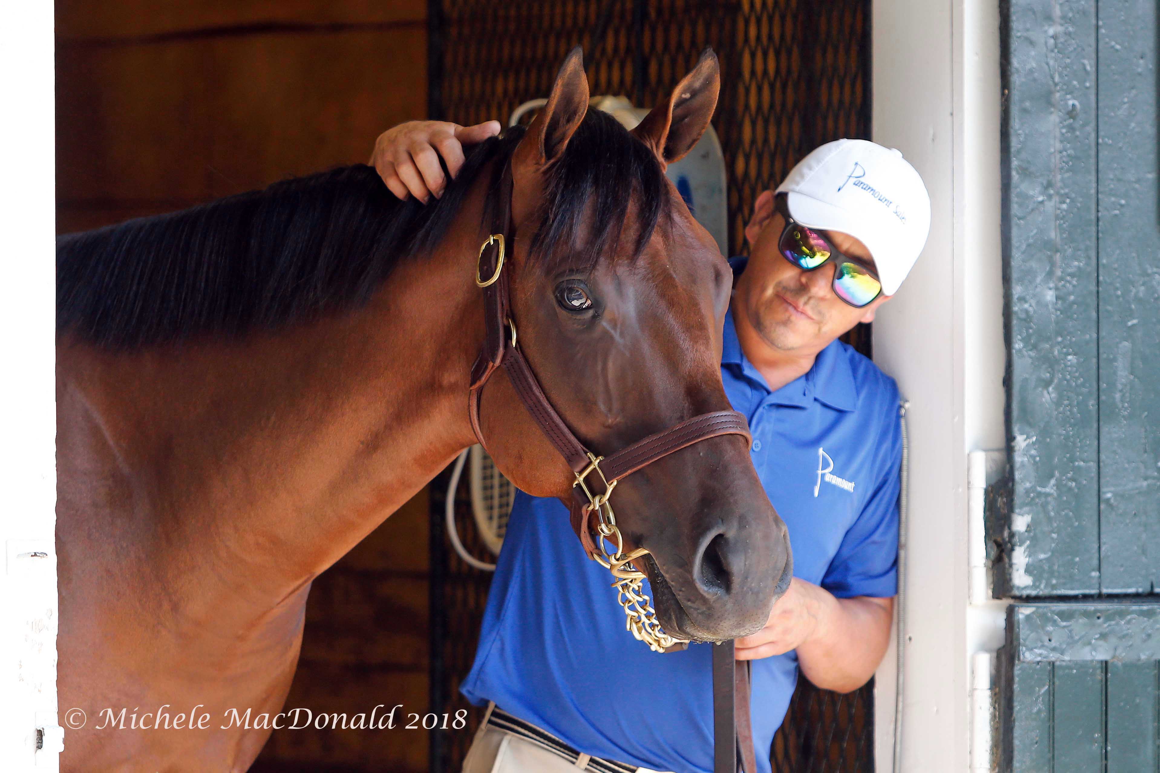 This American Pharoah colt out of Funfair was bought by Hartley-DeRenzo for $525,000 at the Fasig-Tipton Saratoga sale in August. Photo: Michele MacDonald