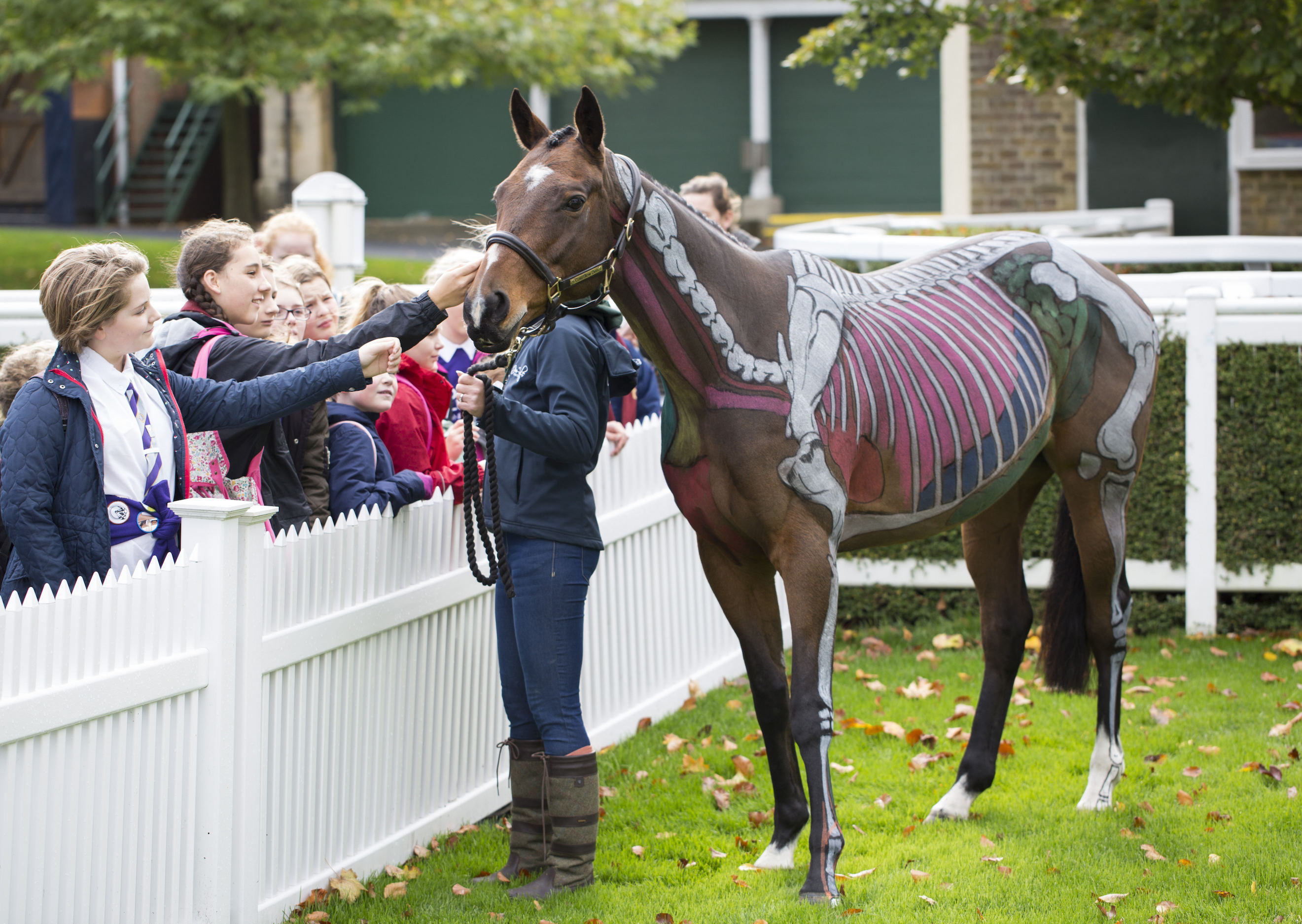 Big draw: youngsters get a chance to meeting Thoroughbreds - and learn about them - on Qipco British Champions Day