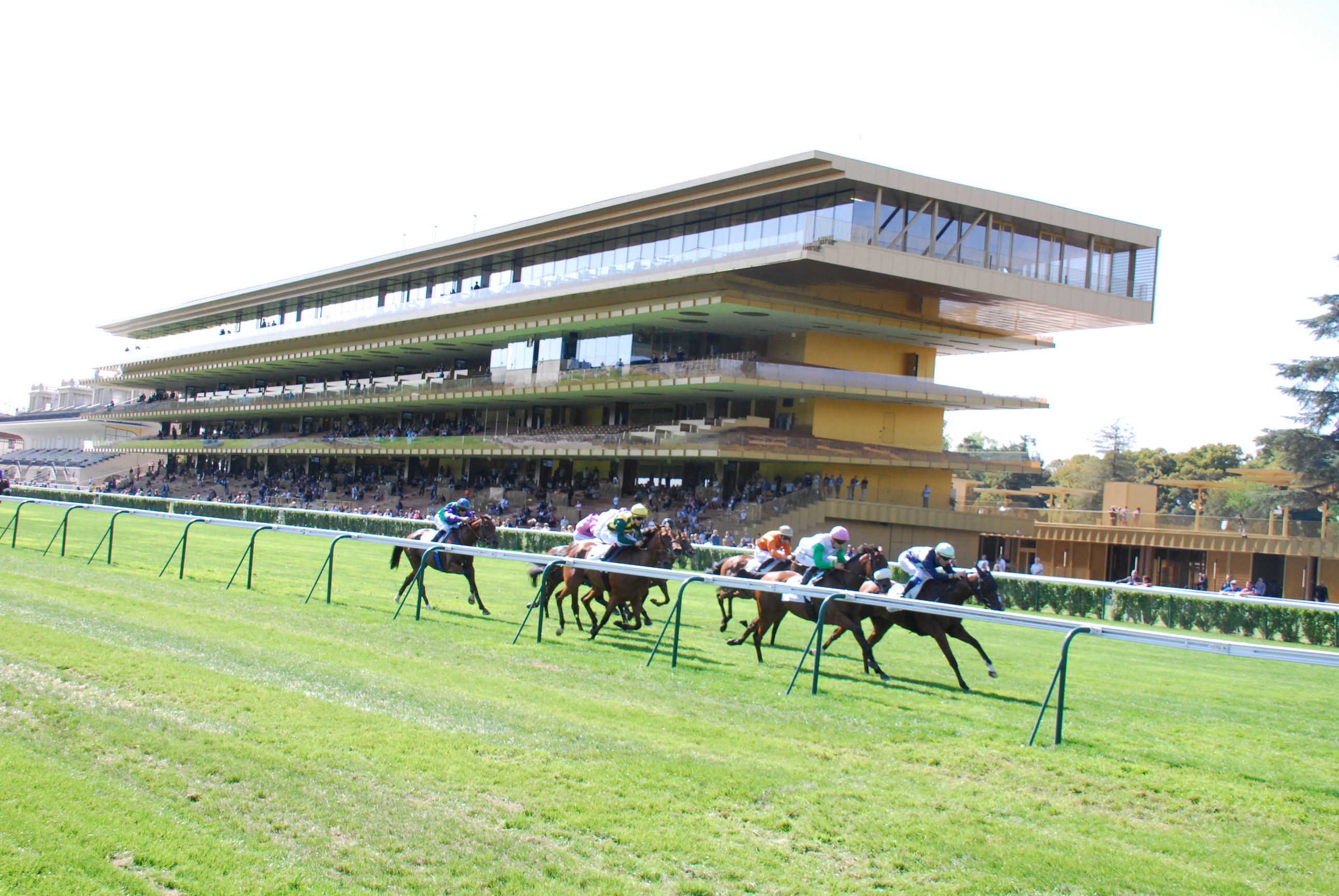 The new Tribune Stand at the Prix du Moulin meeting on September 9. Photo: John Gilmore