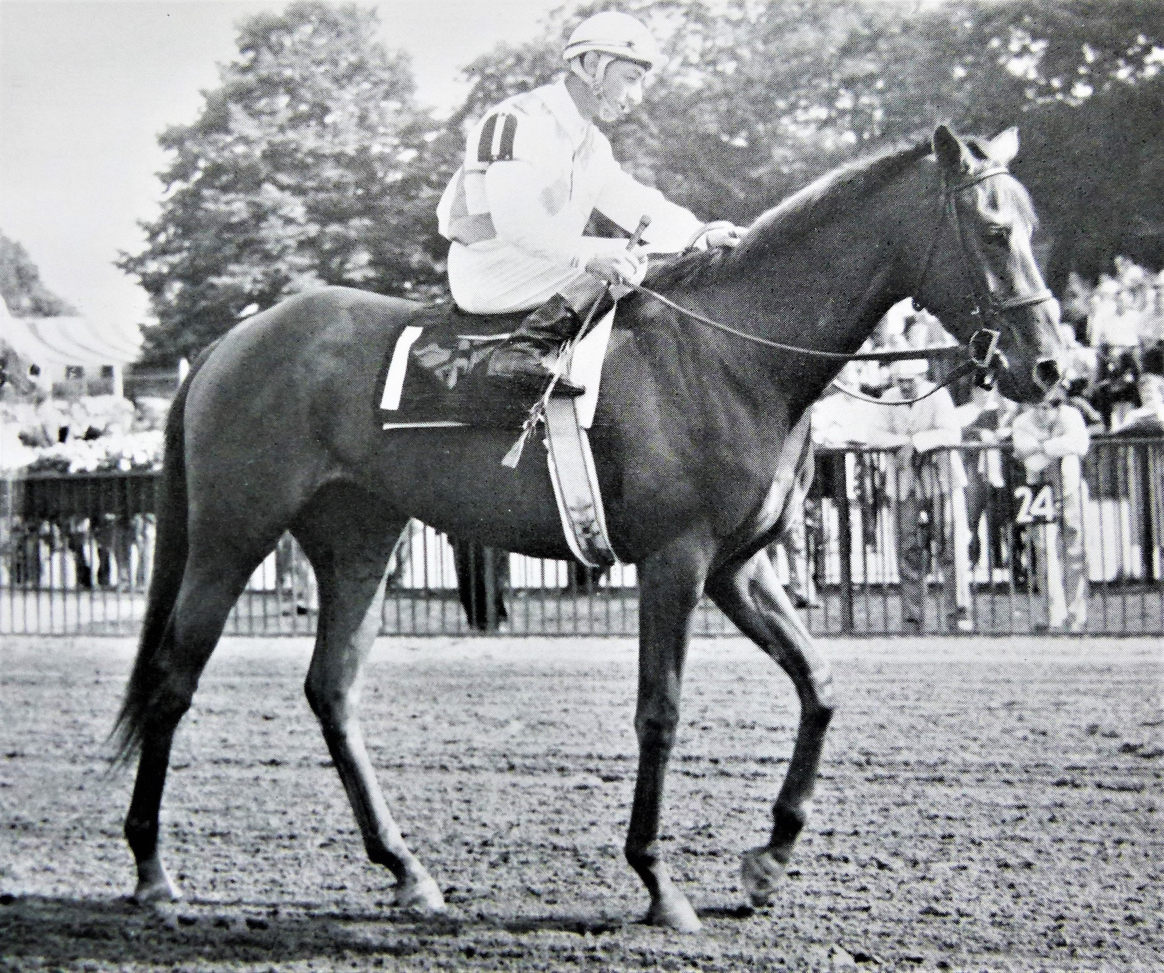 Bowl Of Flowers and Eddie Arcaro, who rode the filly in most of her races