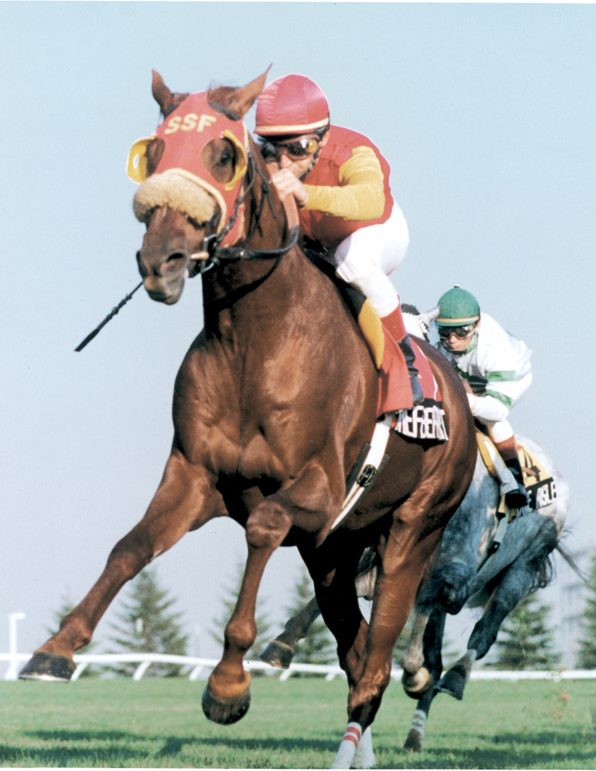 Chief Bearheart winning the Canadian International. “He was a dramatic runner and a great horse,” says Woodbine track announcer. Photo: Michael Burns 