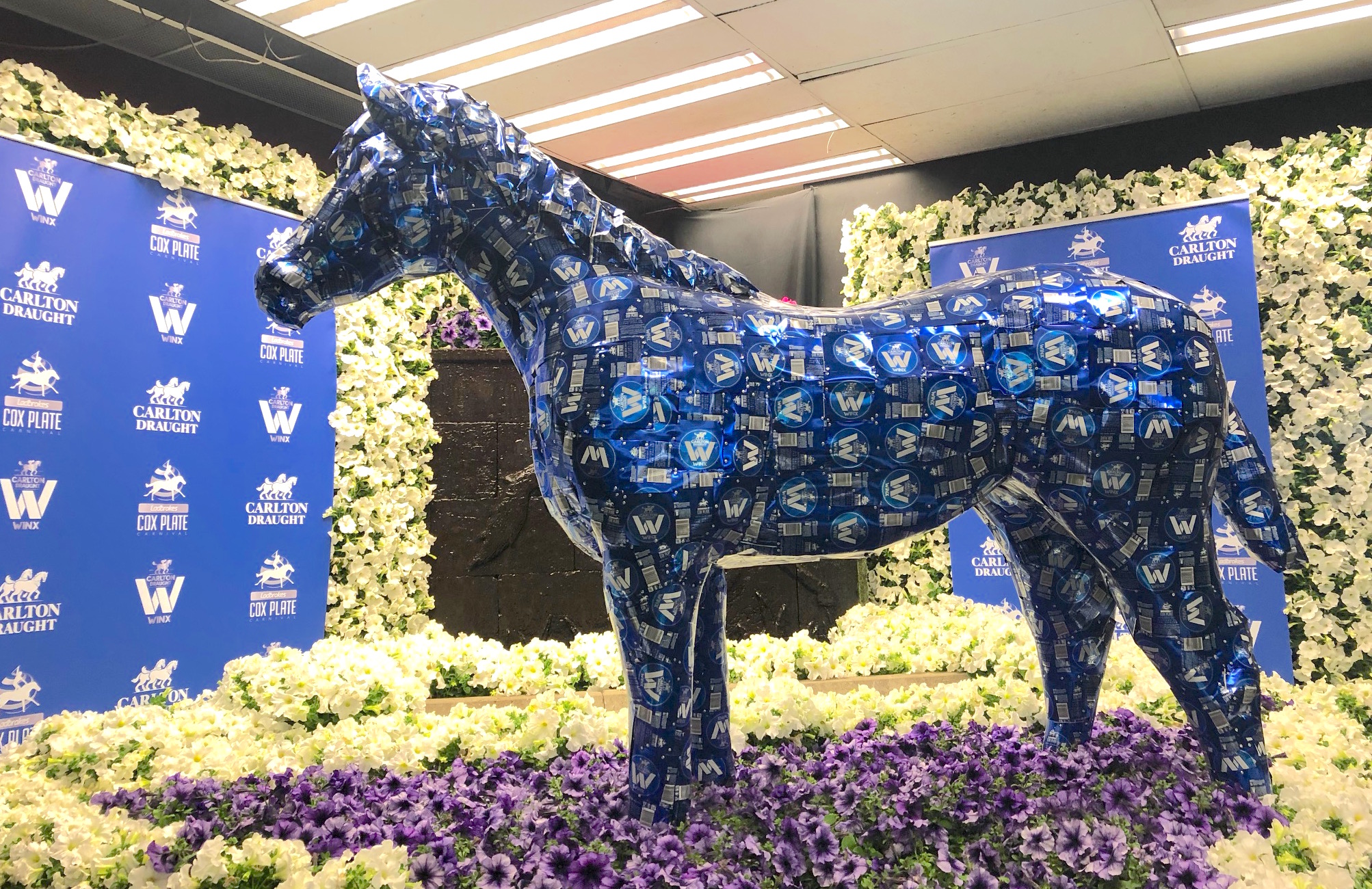 Tributes all round: neither big companies (above) nor obsessed fans (below) held back when it came to on-track signs of affection for the great mare. Photos: Amanda Duckworth