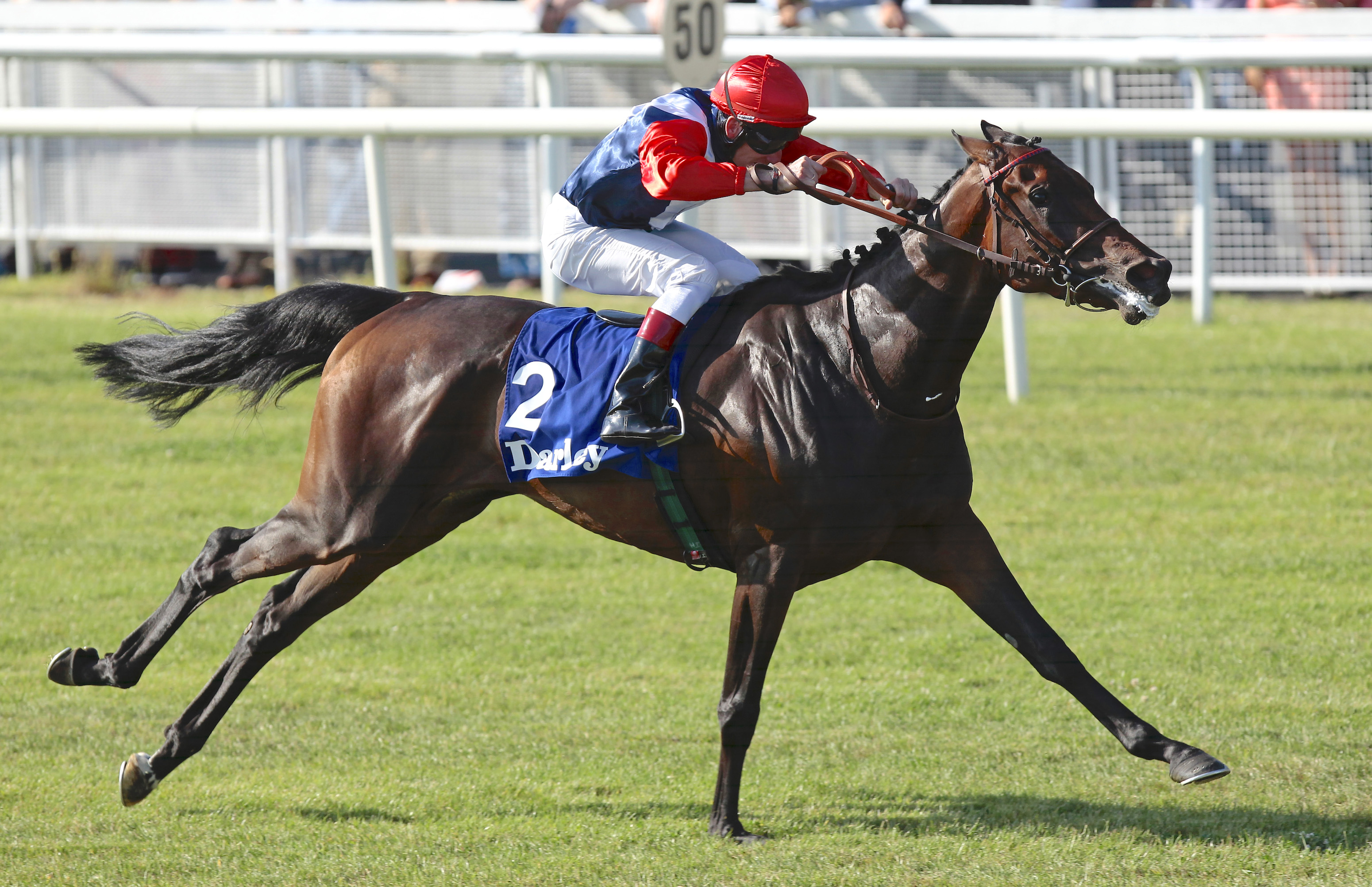 Chicquita on her way to victory in the 2013 Irish Oaks at the Curragh